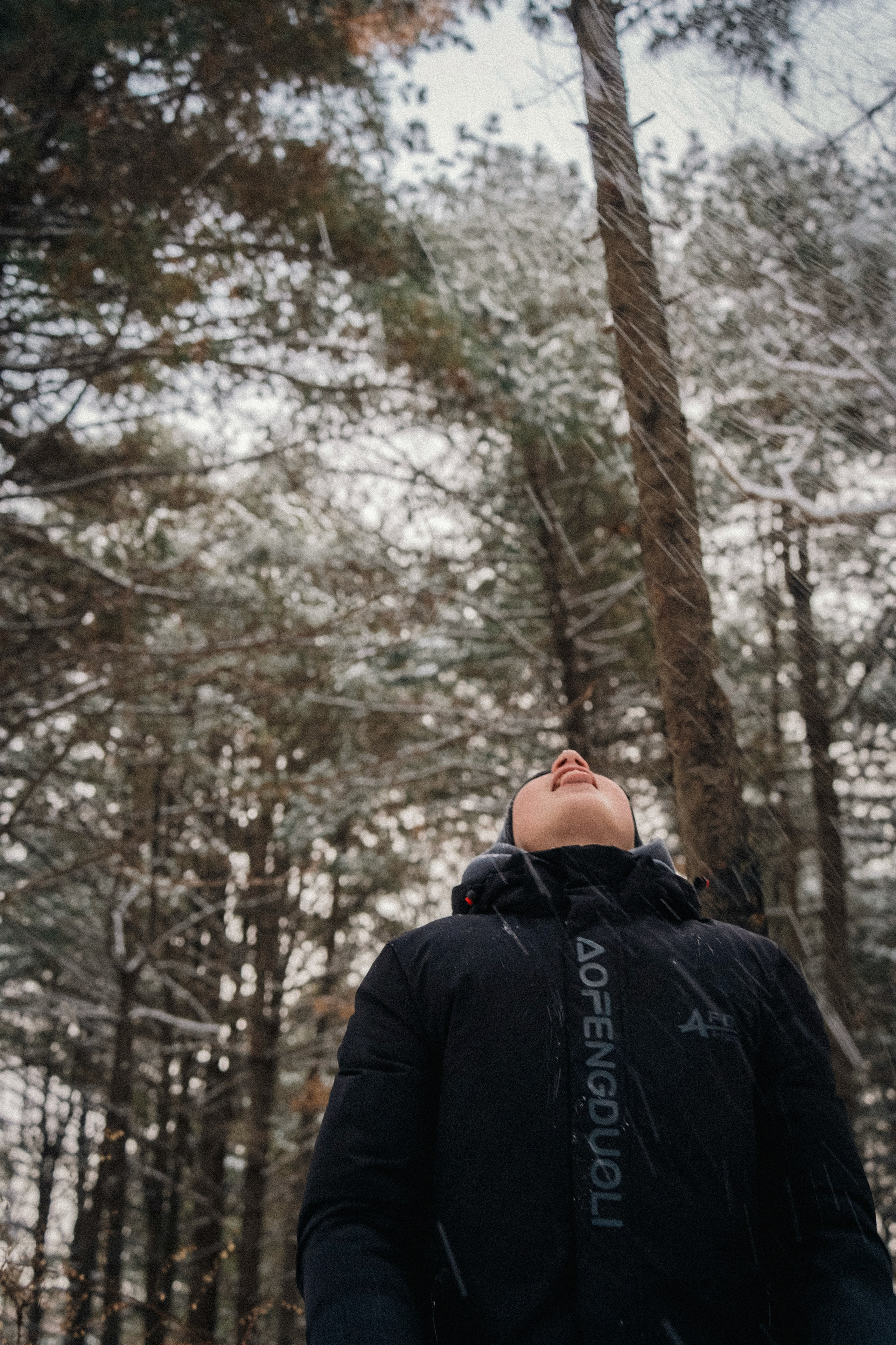 Зимняя история. Семейный фотограф анималист г. Находка