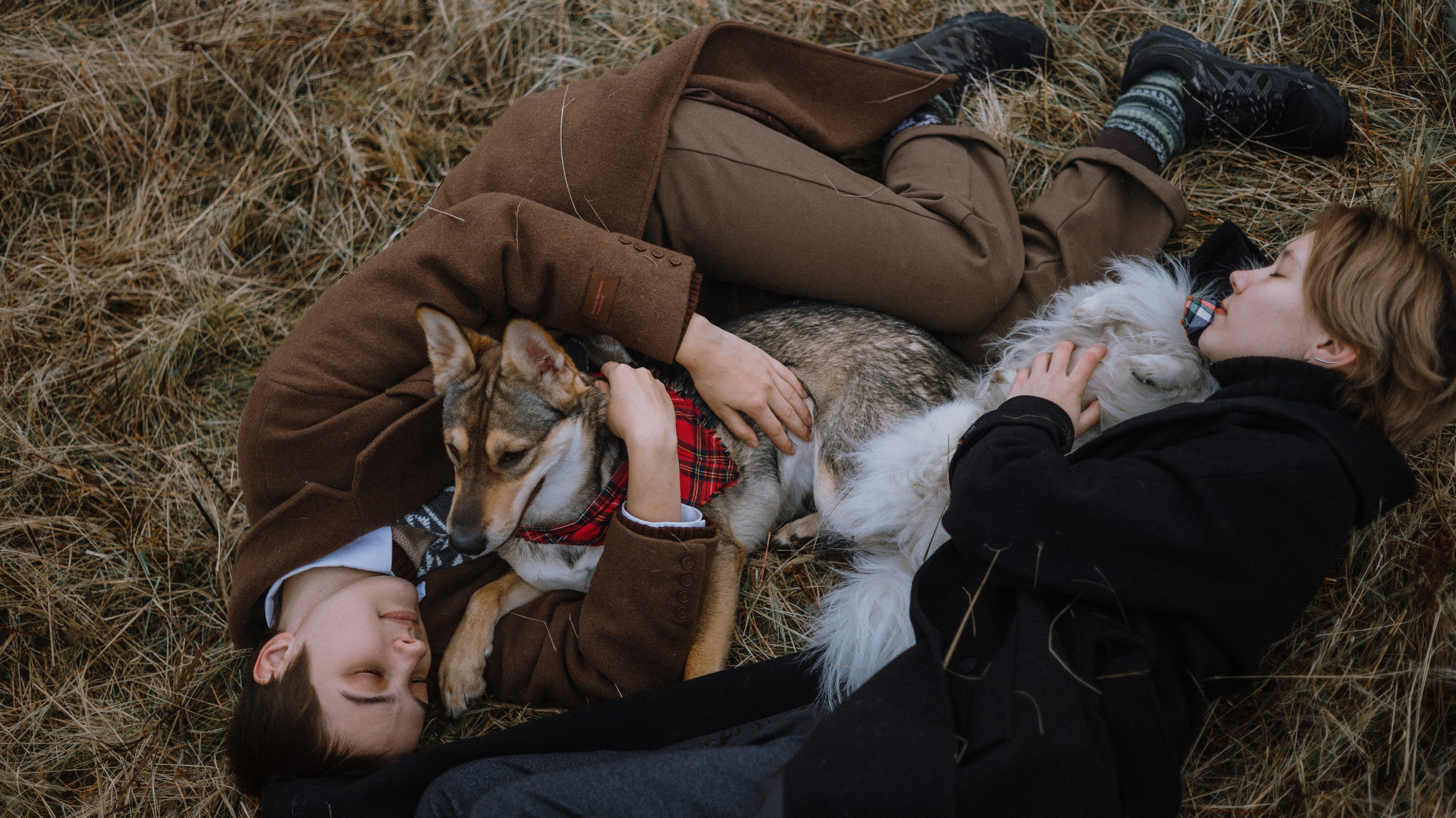 Маша, Катя, Астрид и Мася. Фотограф-анималист Богданова Полина