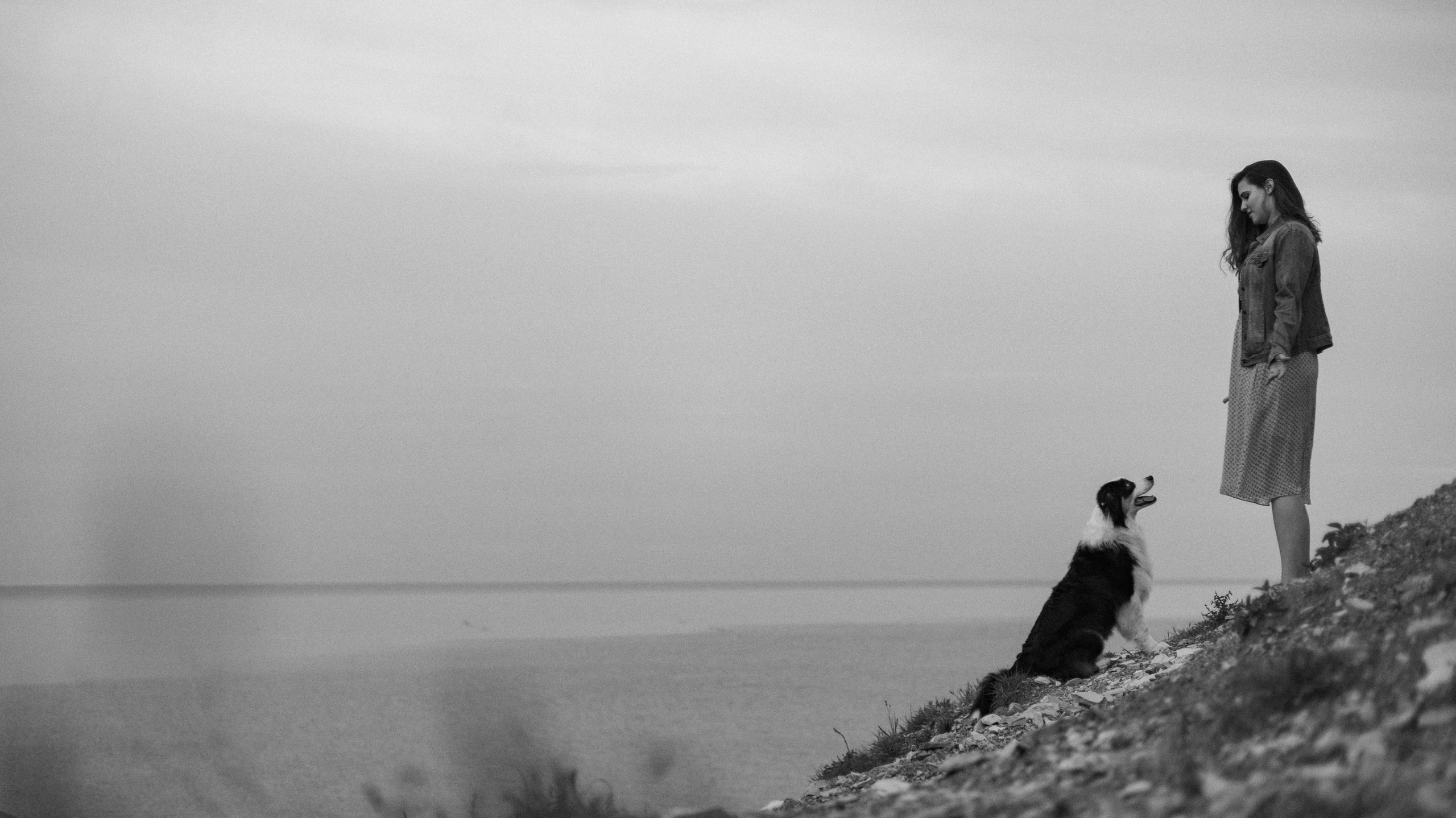 Ира и Джесс. Фотограф-анималист Богданова Полина