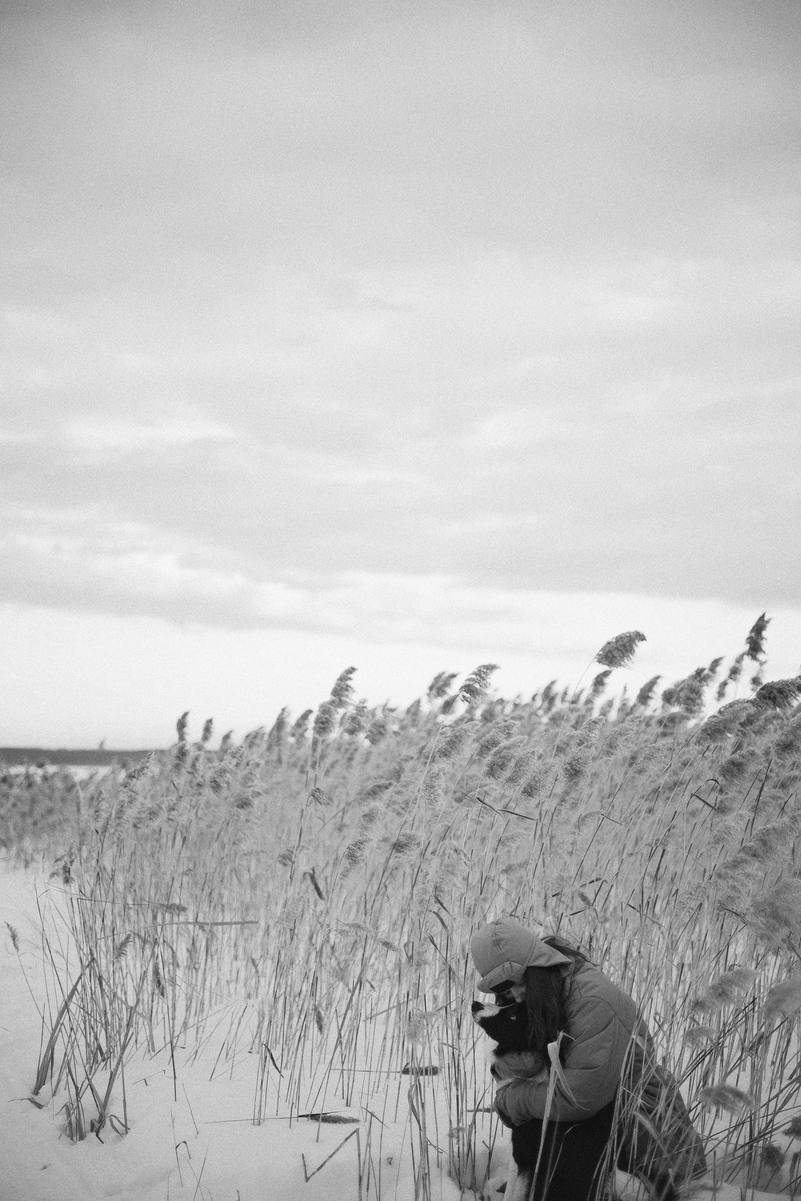 Маша, Рэм и Ньютон. Фотограф-анималист Богданова Полина