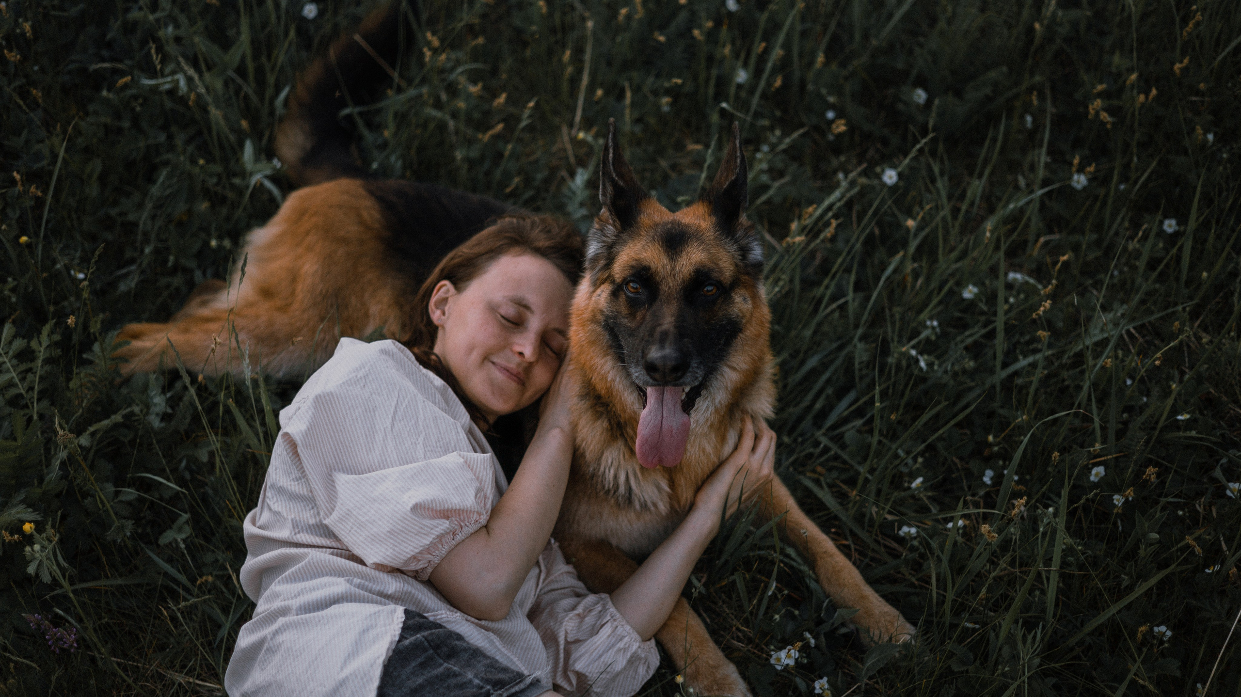 Настя, Шуня, Милка и Тигуан. Фотограф-анималист Богданова Полина
