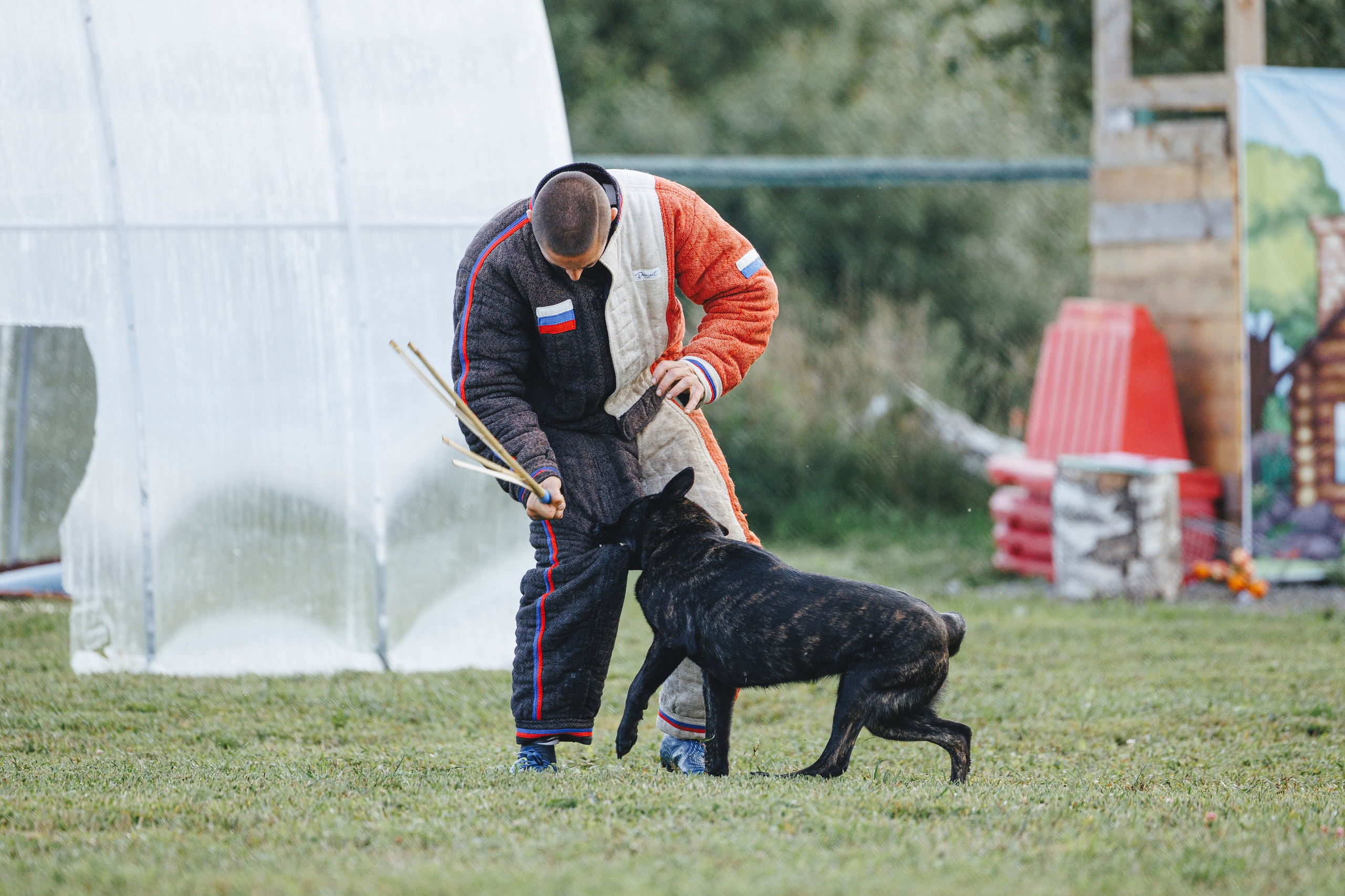 08.08.25-10.08.25 ЧР по мондьорингу г. Вологда. Фотограф-анималист Анна Маринич