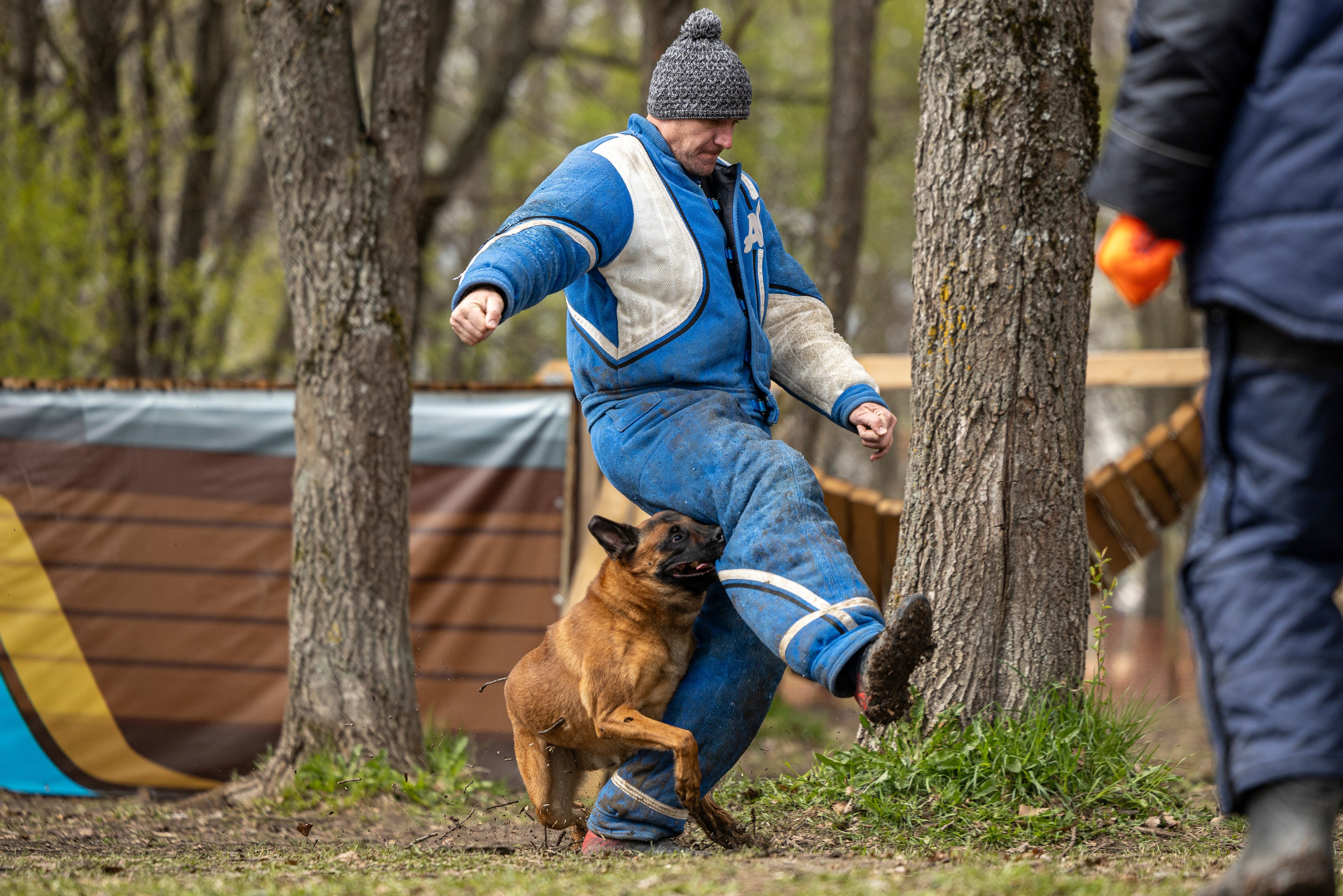 Квалификационные состязания по мондьорингу г. Вологда 11.05.24. Фотограф-анималист Анна Маринич