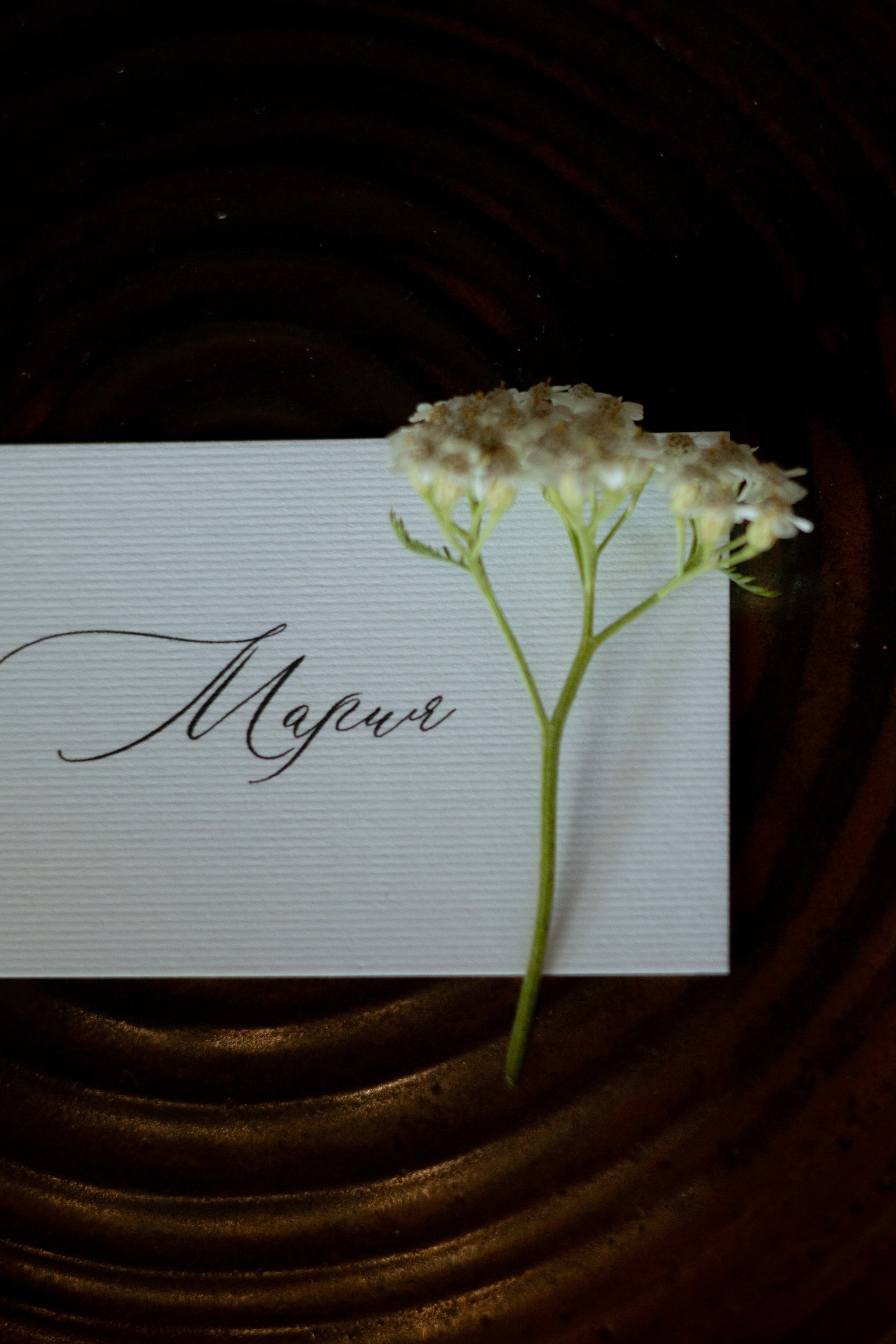 Алина & Николай. Оформление свадеб, декор свадеб Вера Маркова, Москва