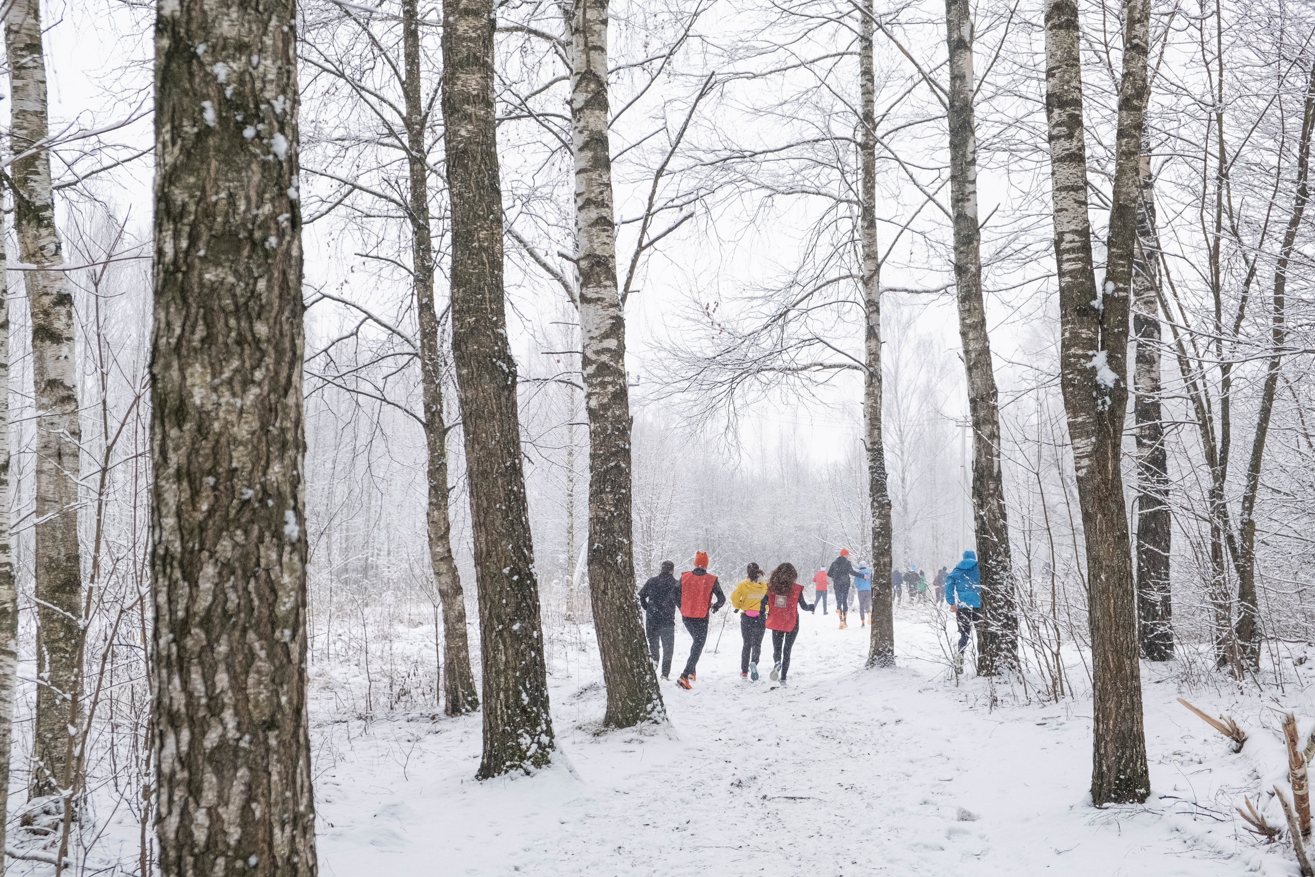 Репортажная съемка. Фотограф Диана Иремадзе