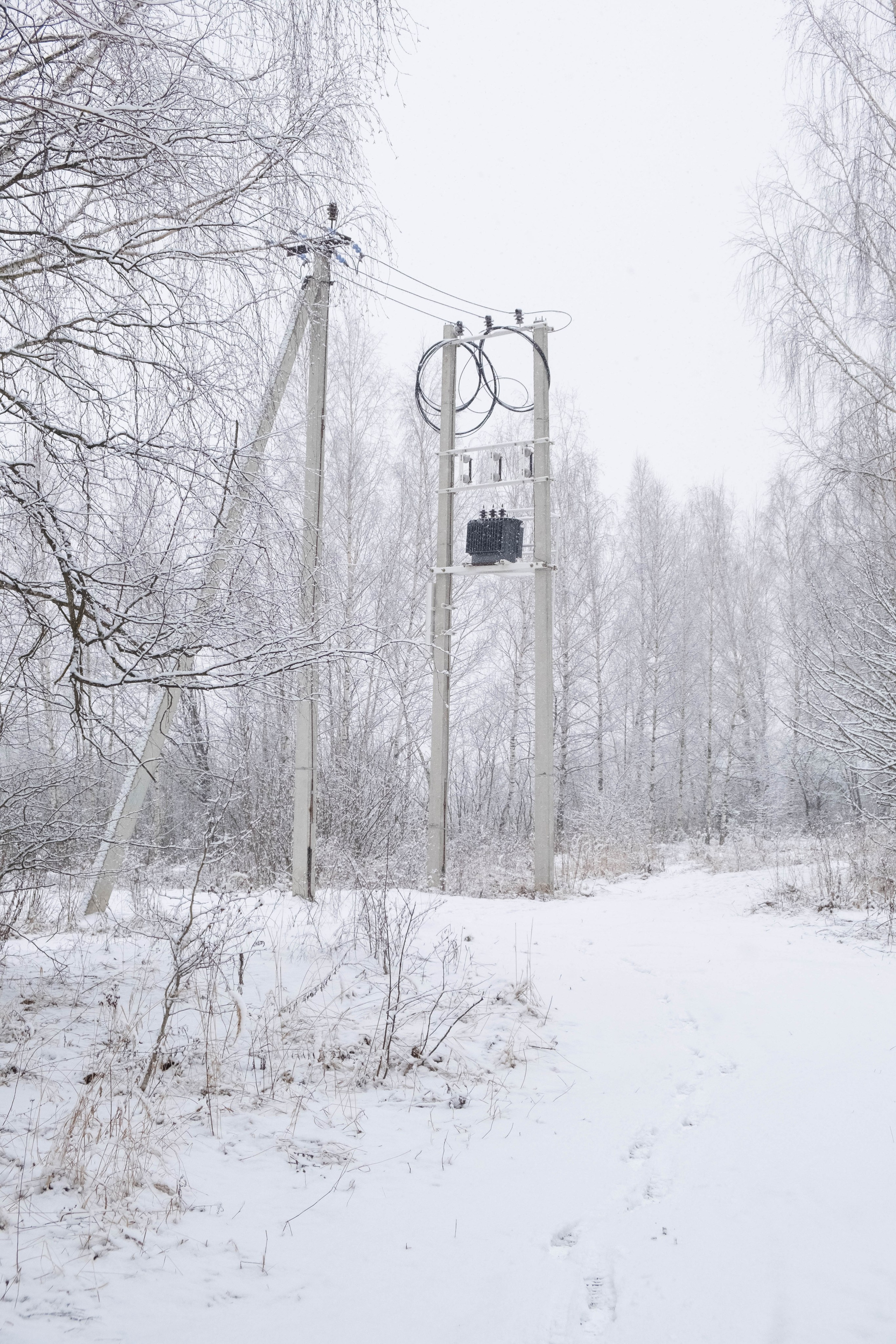 Репортажная съемка. Фотограф Диана Иремадзе