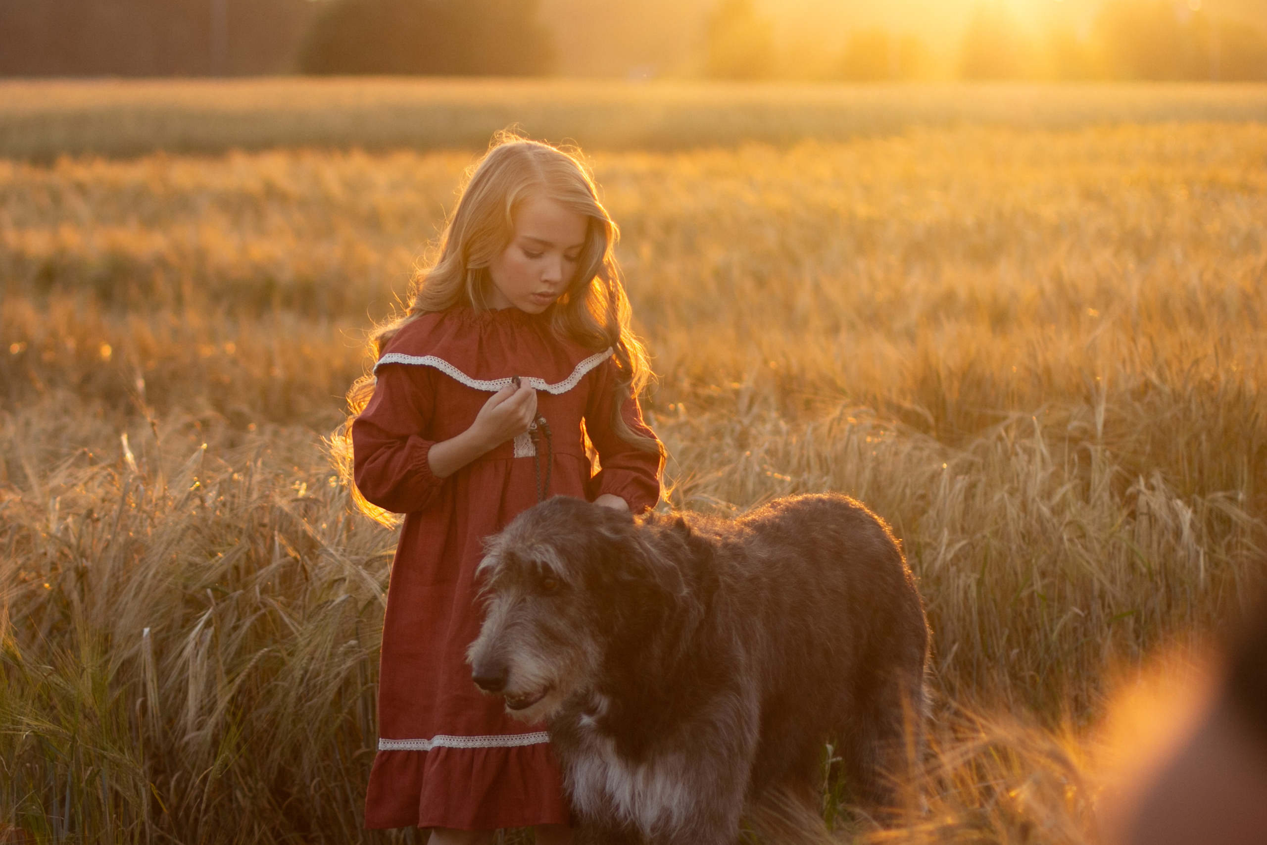 Фотосессия в пшеничном поле. Детский и семейный фотограф в Москве Левандовская Анастасия