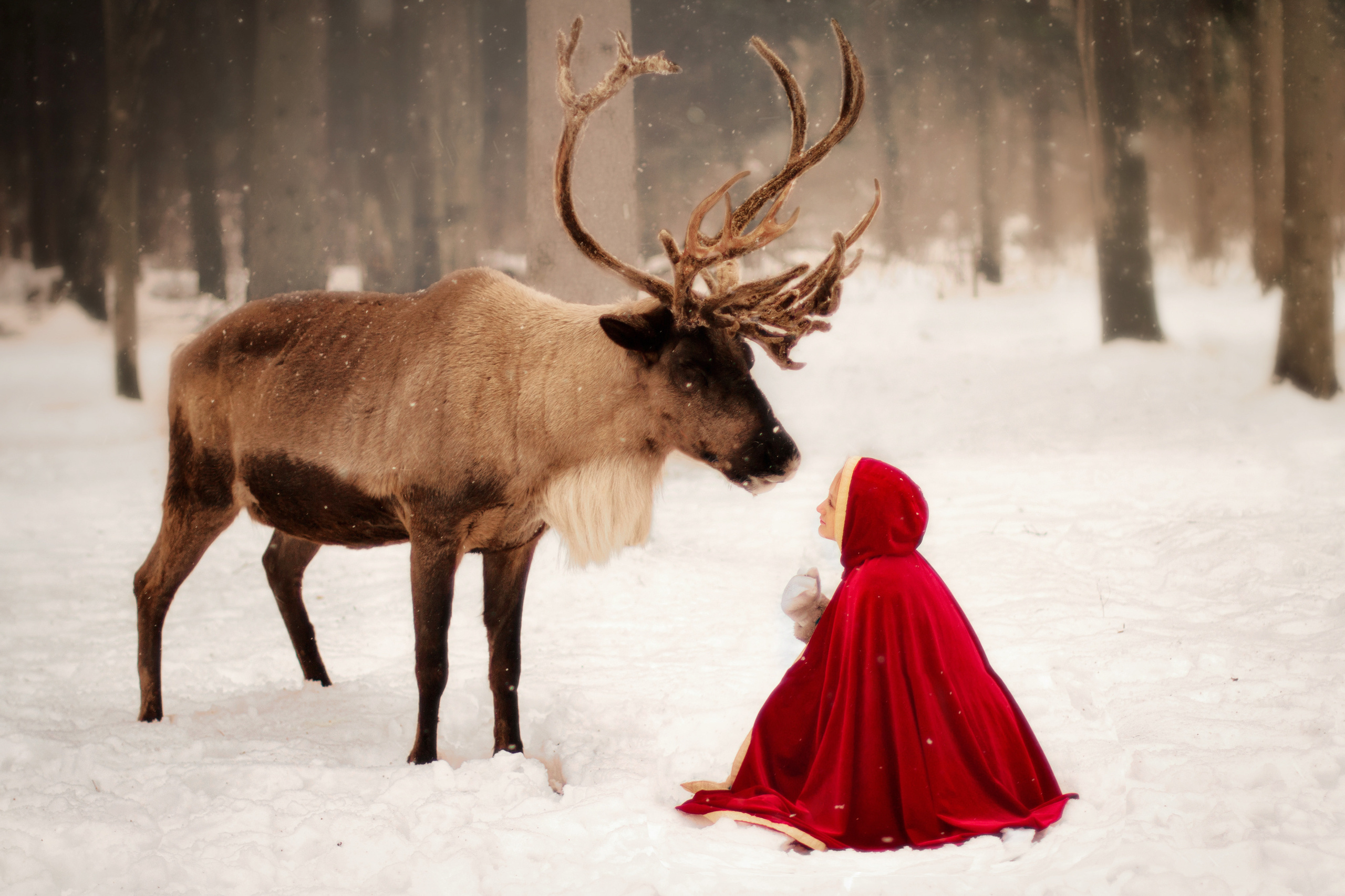 Сказочные фотосессии. Детский и семейный фотограф в Москве Левандовская Анастасия