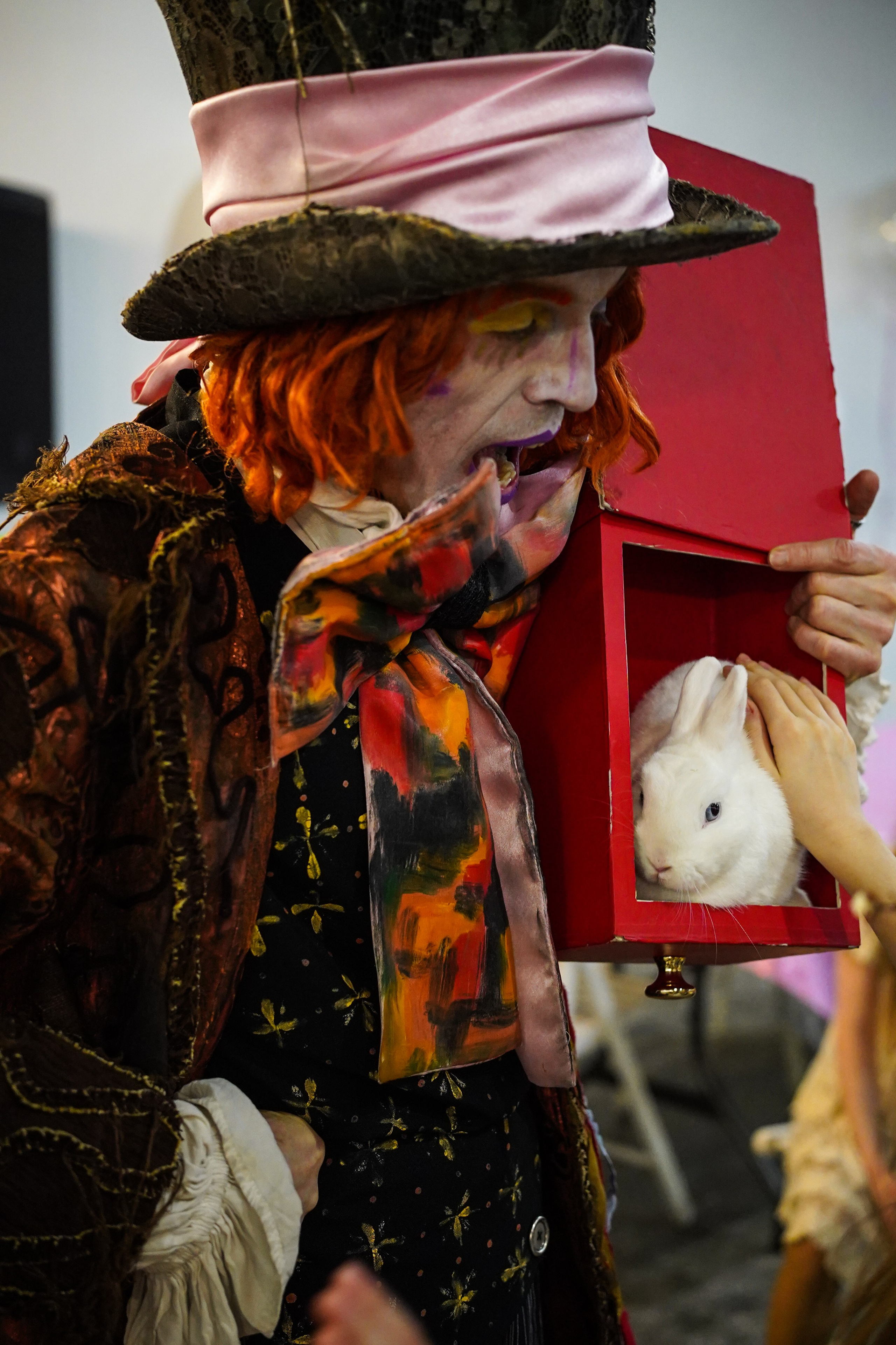 День Рождения Алиса в стране чудес. Фотограф