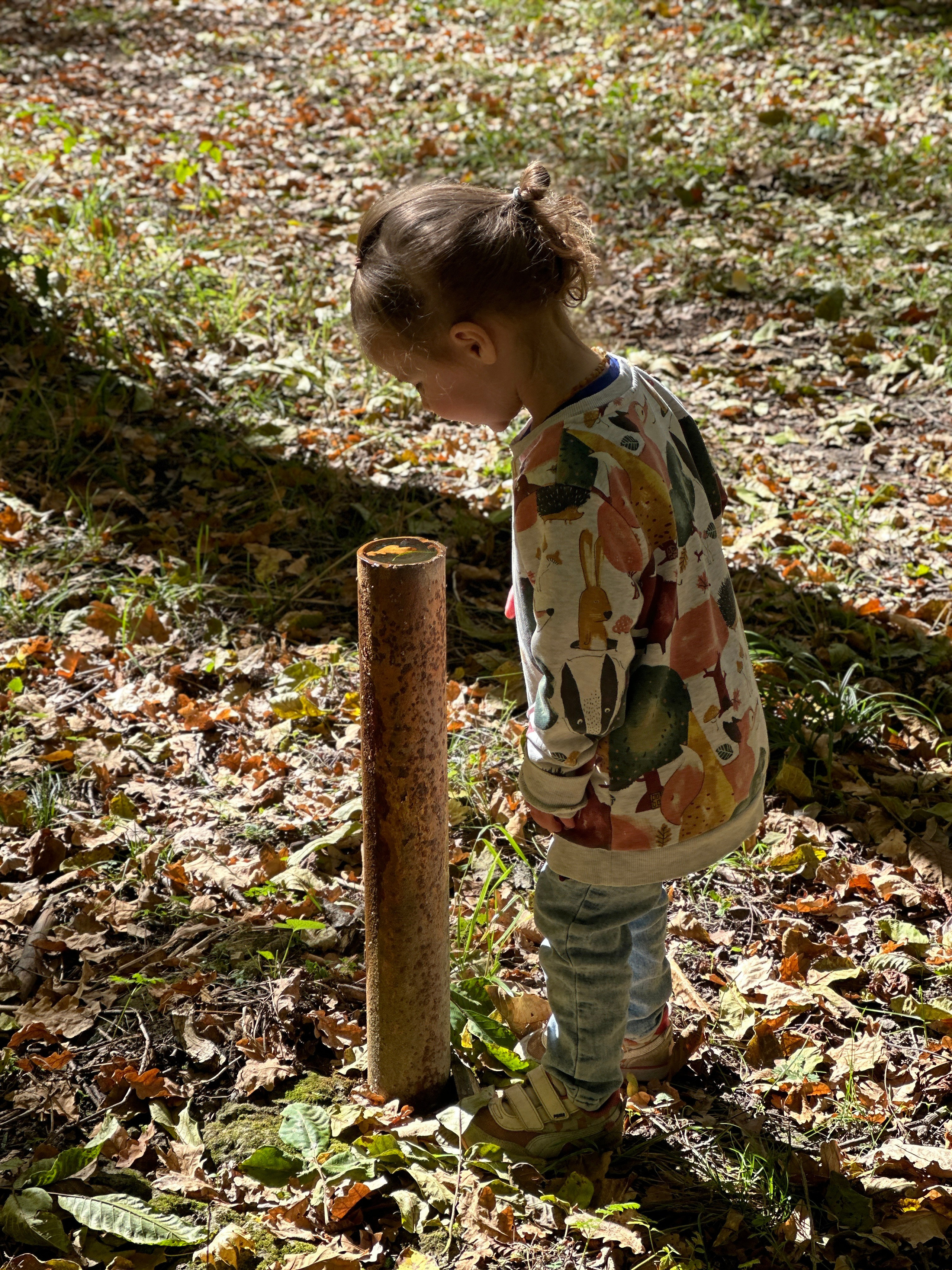 Дети. Смотри, красота!