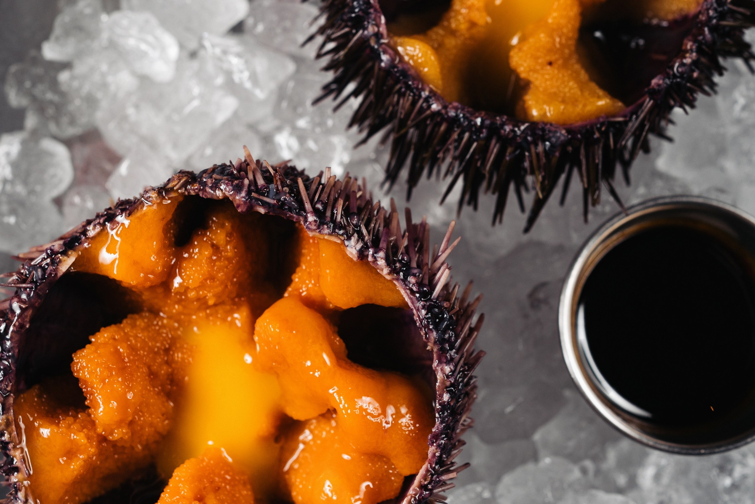 Nola Jazz Bar. Night2Day Санкт-Петербург