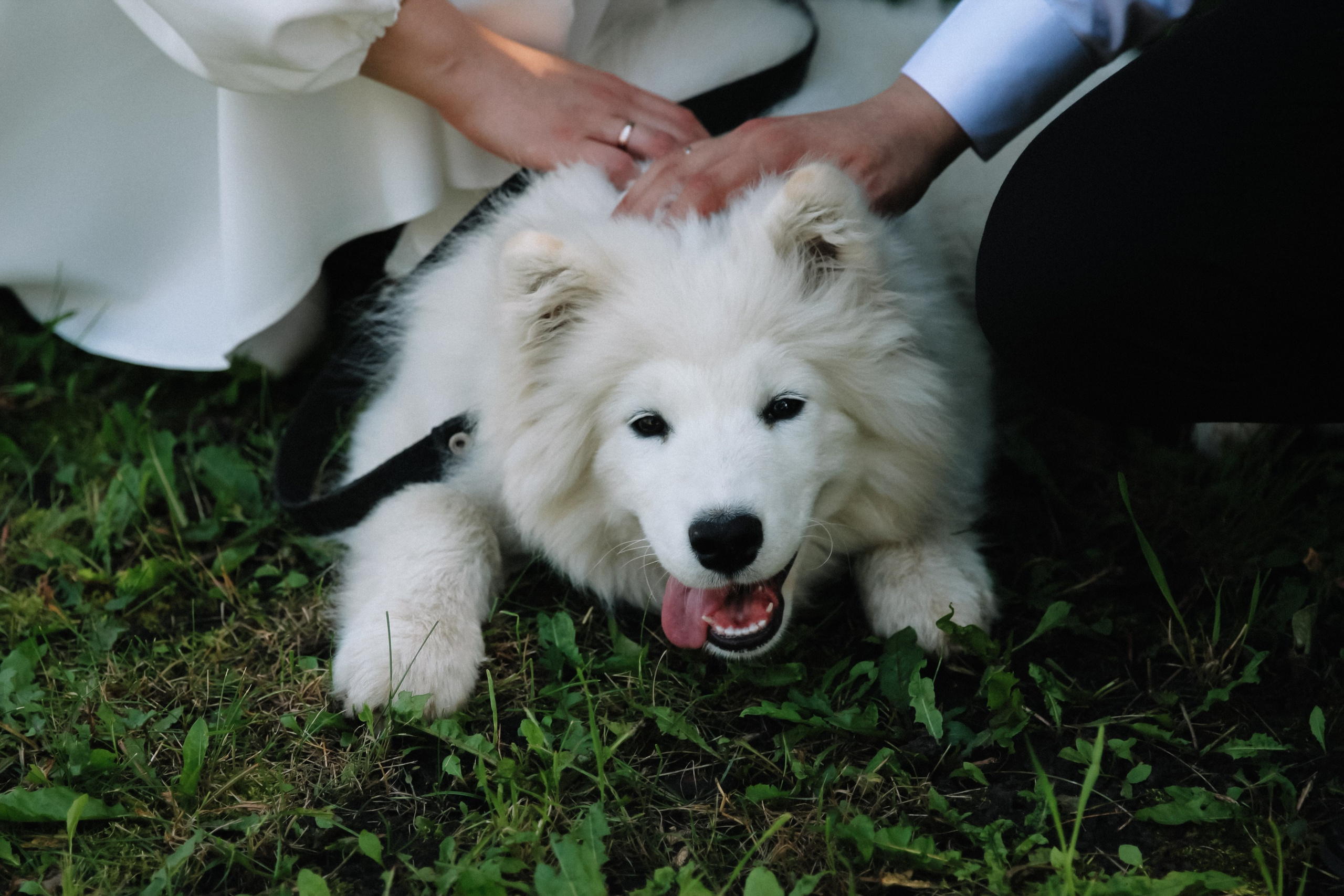 Татьяна и Владимир. Свадебный и семейный фотограф в городе Пенза, Саранск, Ковылкино