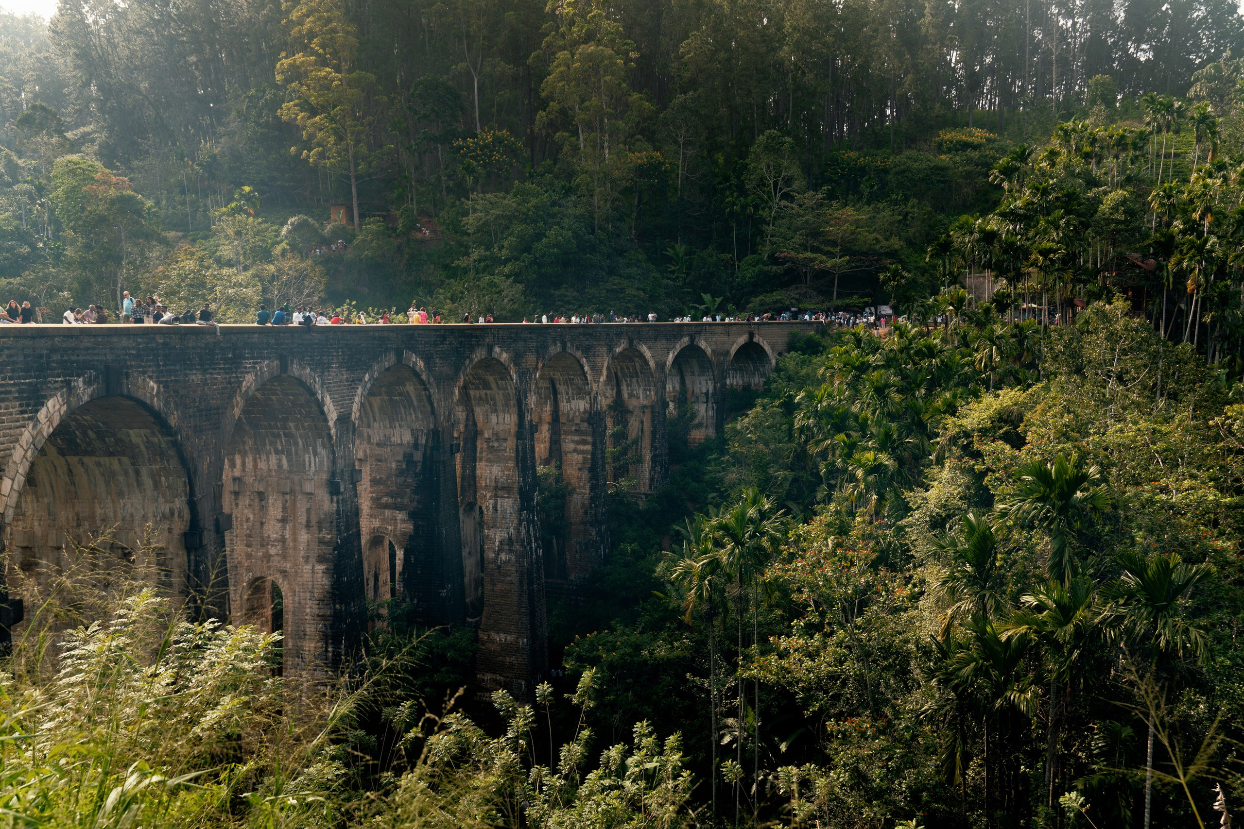 Ktokuda. Фотограф в Хабаровске. Фотография за 24 часа