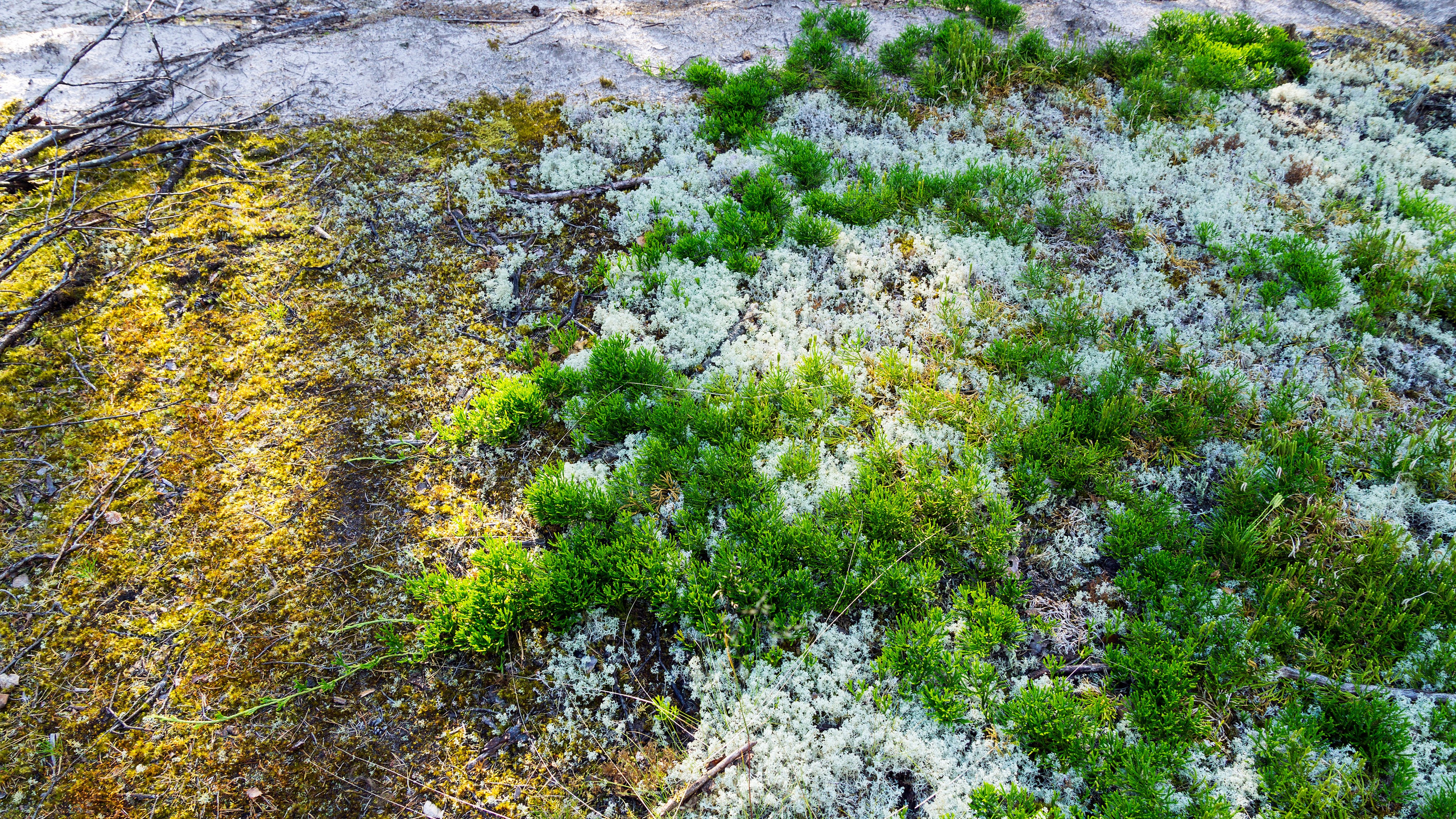 Карелия. Фотограф-путешественник Самойлов Максим «Sly Fox»