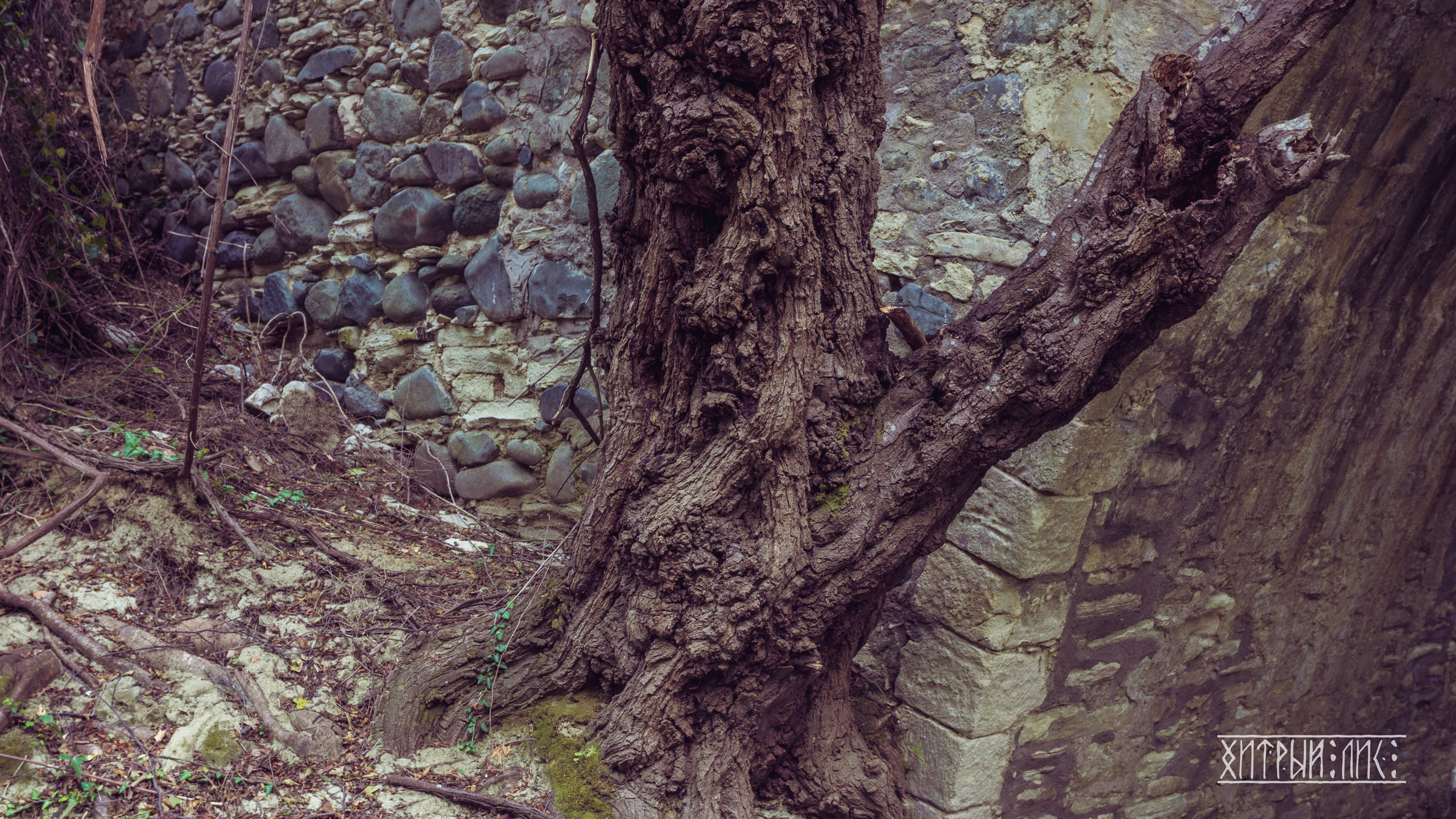 Кипр. Фотограф-путешественник Самойлов Максим «Sly Fox»