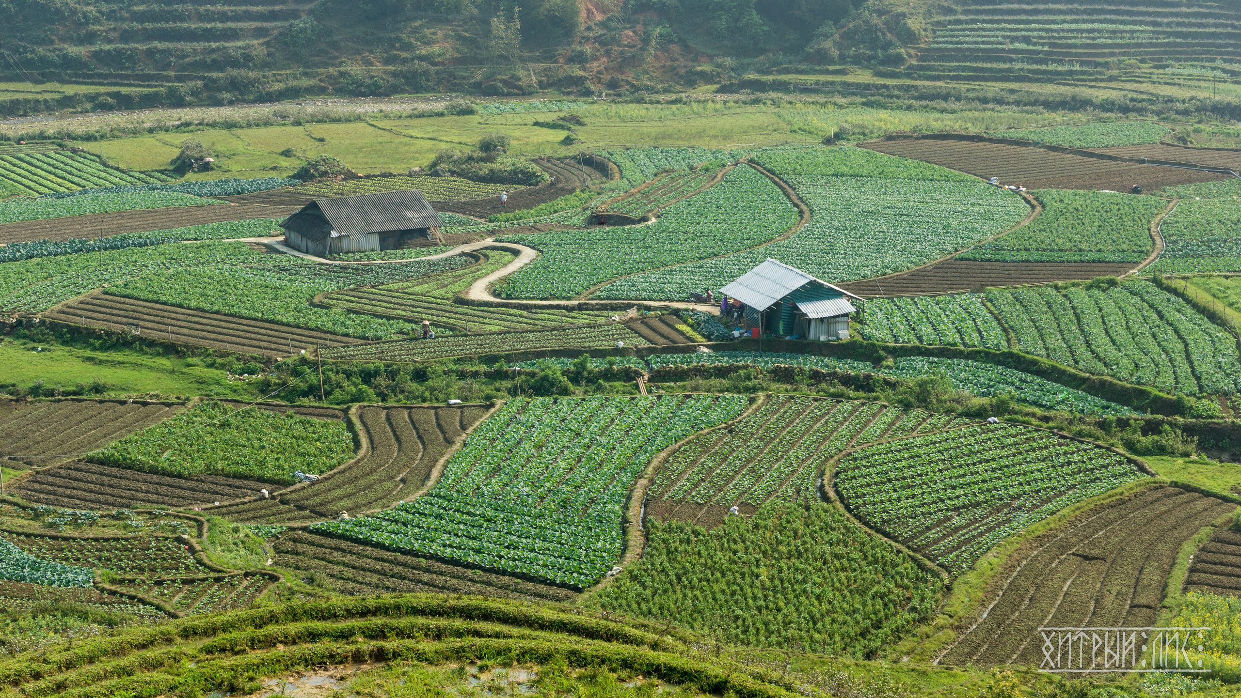 Вьетнам. Фотограф-путешественник Самойлов Максим «Sly Fox»
