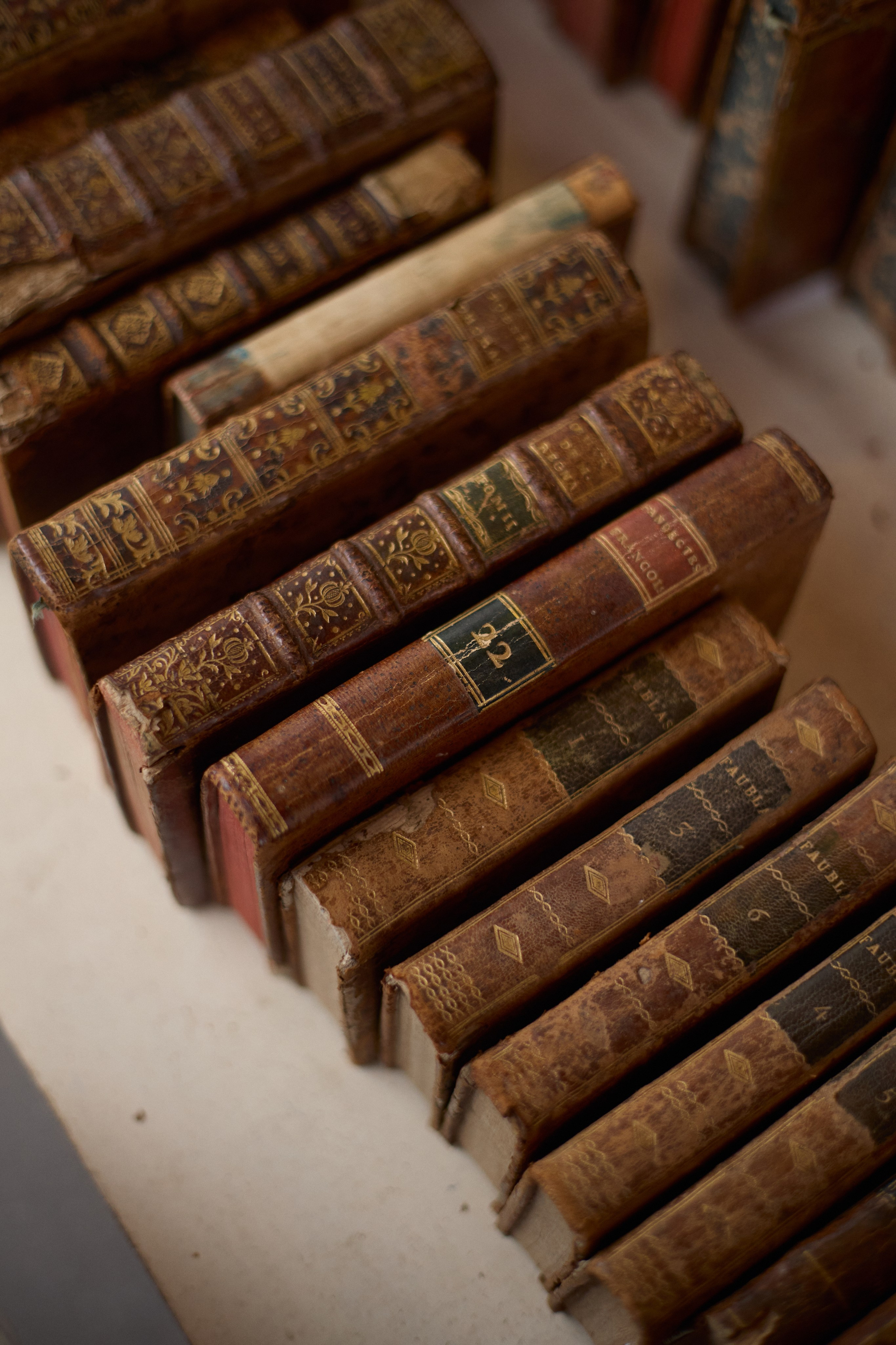 France (Provence & Paris) Sep'25. Анастасия Зобнинá — фотограф в Санкт-Петербурге/СПб