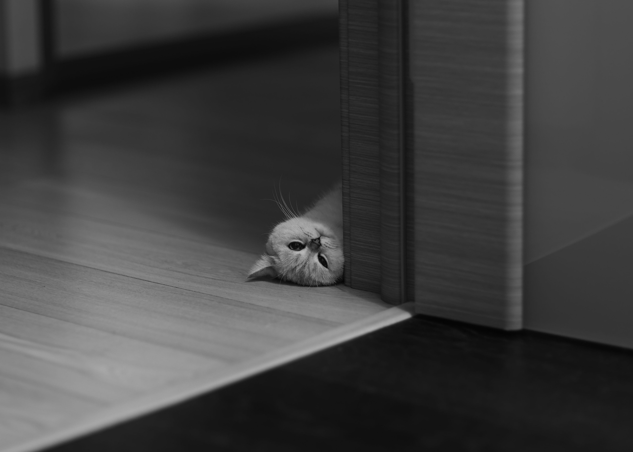 2023. Тащилин Сергей. Фотографии. Жизнь. Хобби