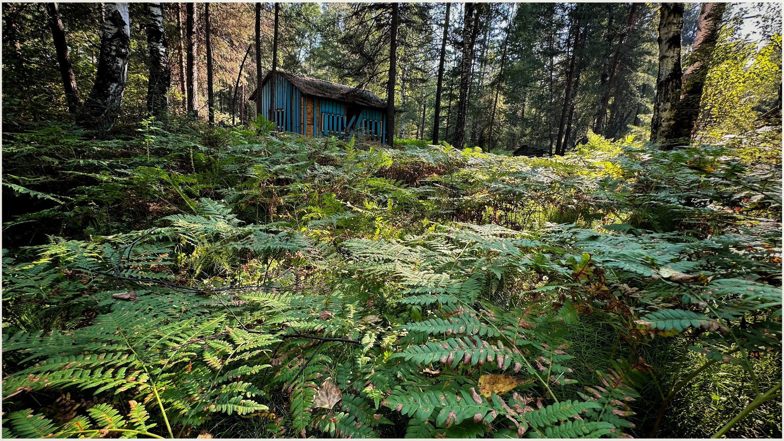 2024. Тащилин Сергей. Фотографии. Жизнь. Хобби