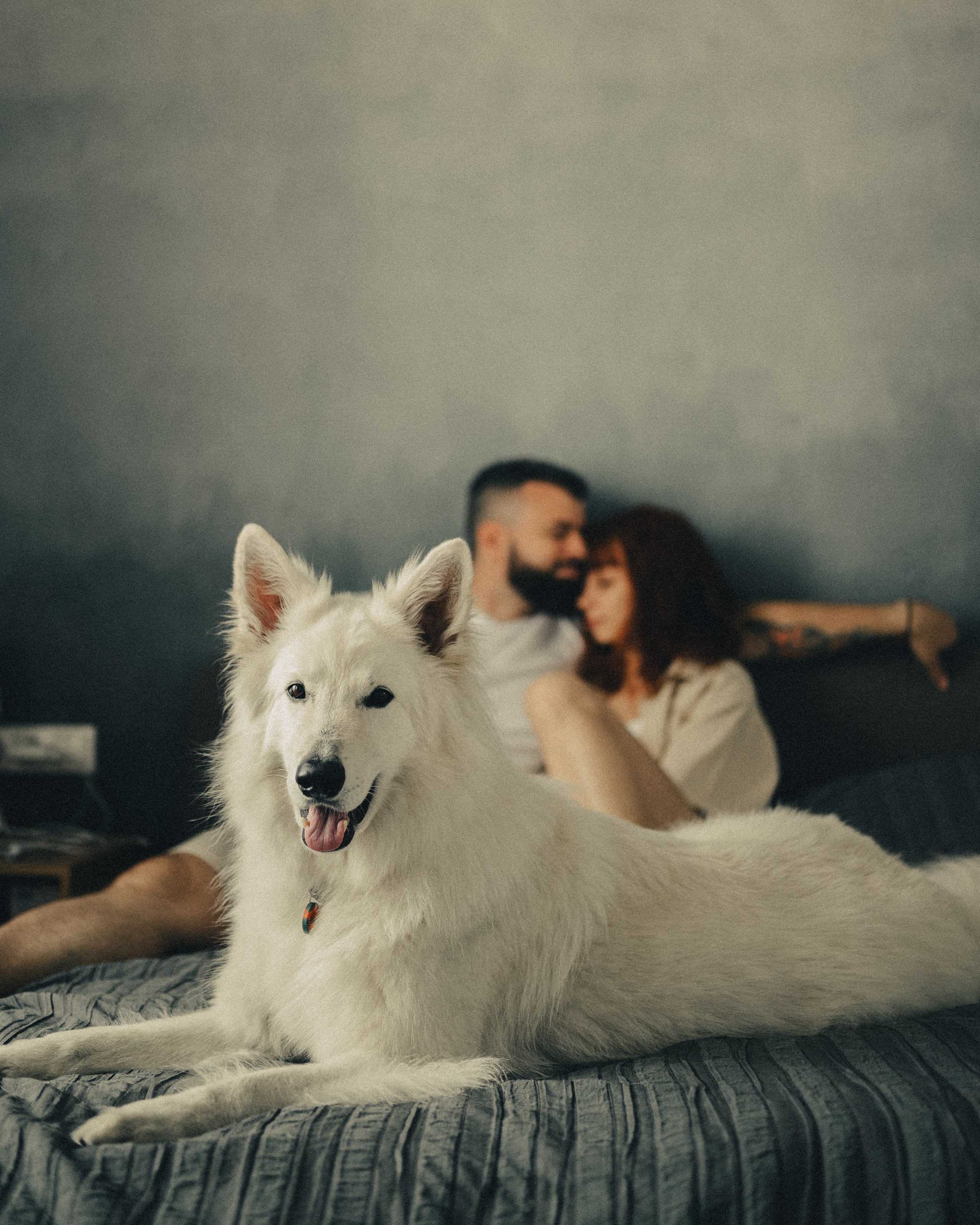 Катя, Костя и Джек