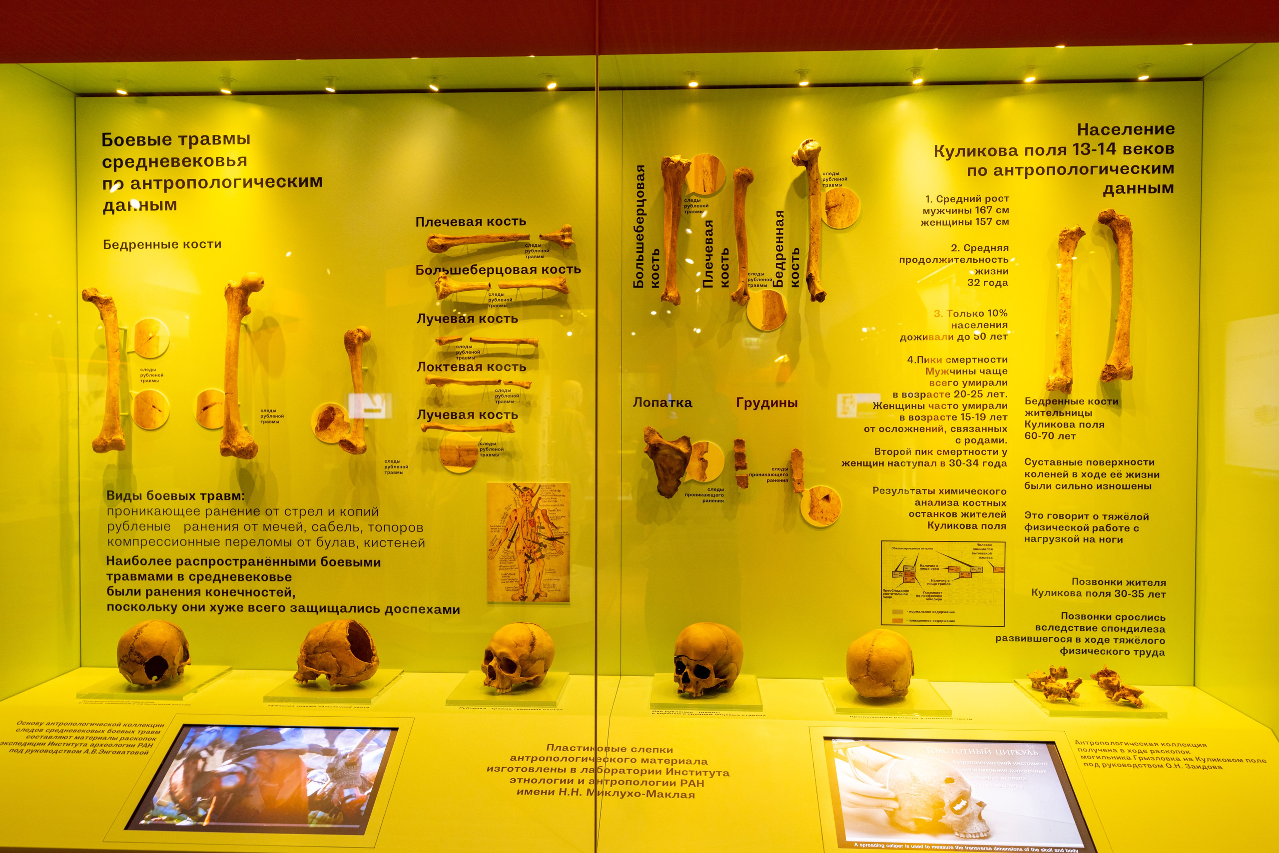 Поездка на поле Кулеково. Фотограф в Туле Крупский АнДРей. Фотостудия «КАДР71» в Туле