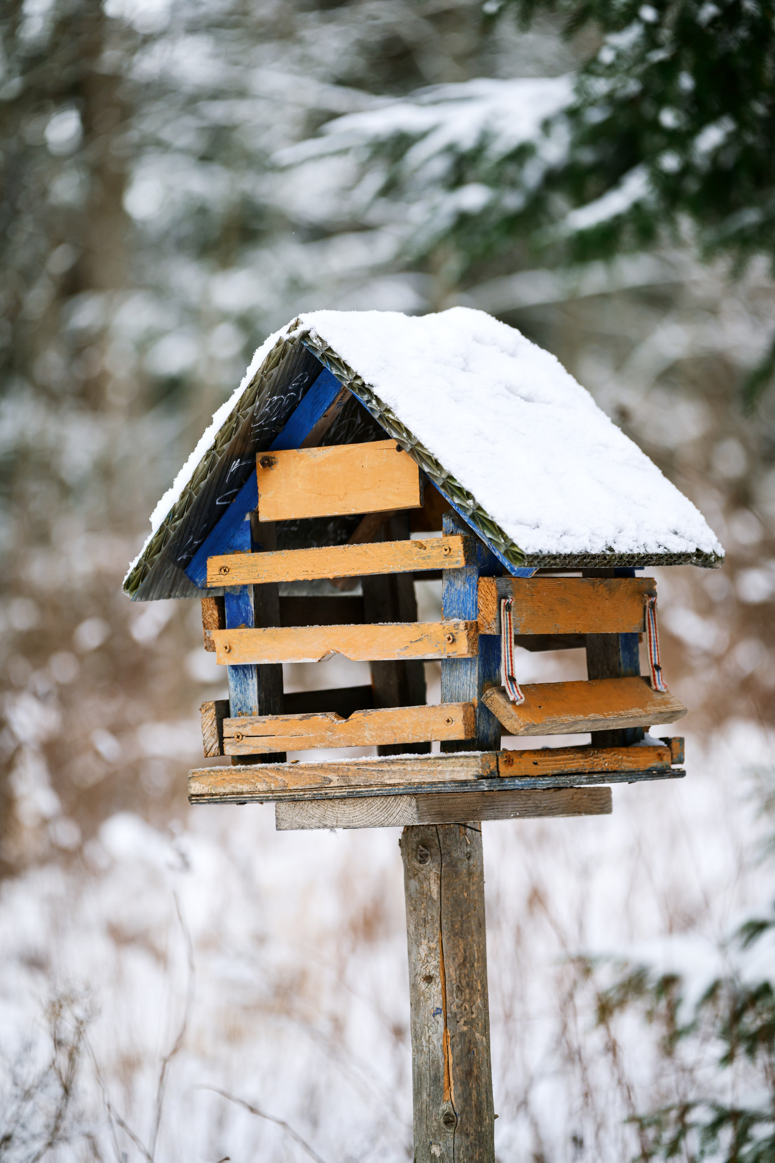 2026 «Зимний Драйв в Карелии» Авто Марафон-гигант «25 часов на льду». Авто и мотоспорт — фотограф Антон Медведев iCoguar