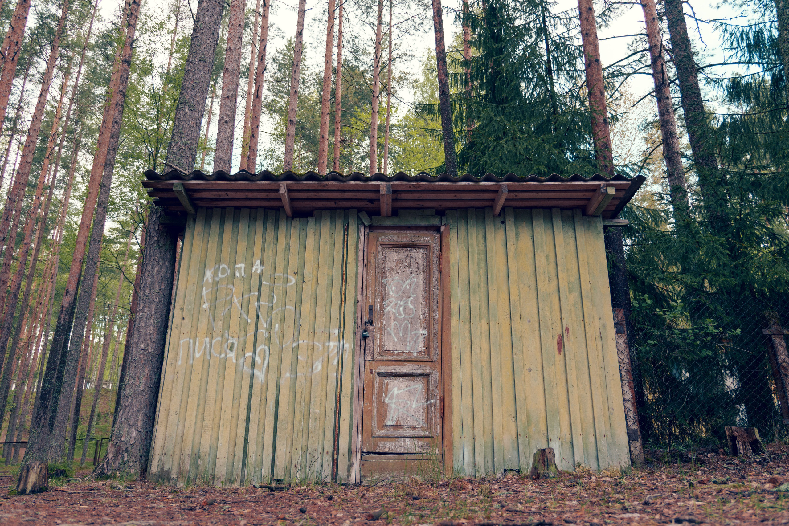 Природа. Фотограф в Санкт-Петербурге Ибрагимова Алина