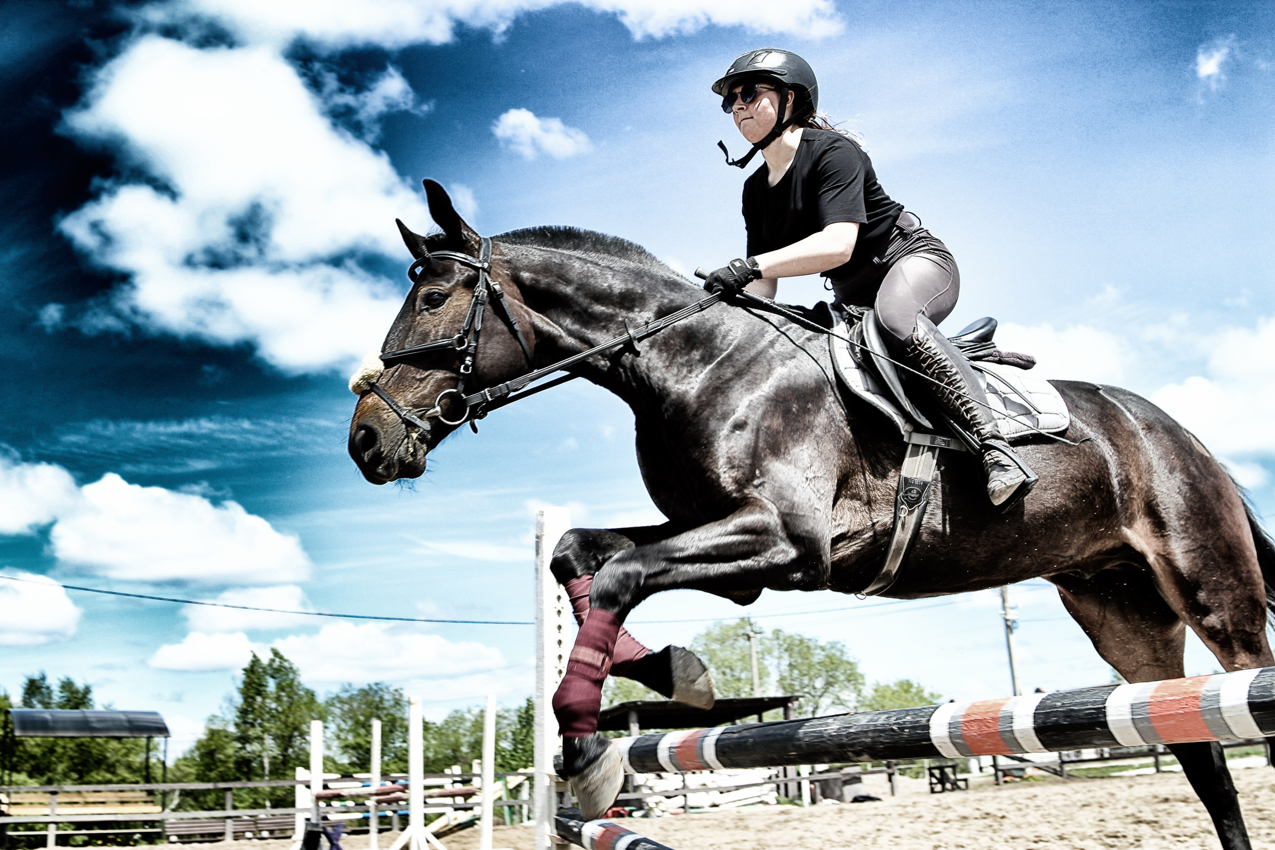 Лошади «Каскад» и «Брилиант». Алиса Томшина — Фотограф / Видеограф