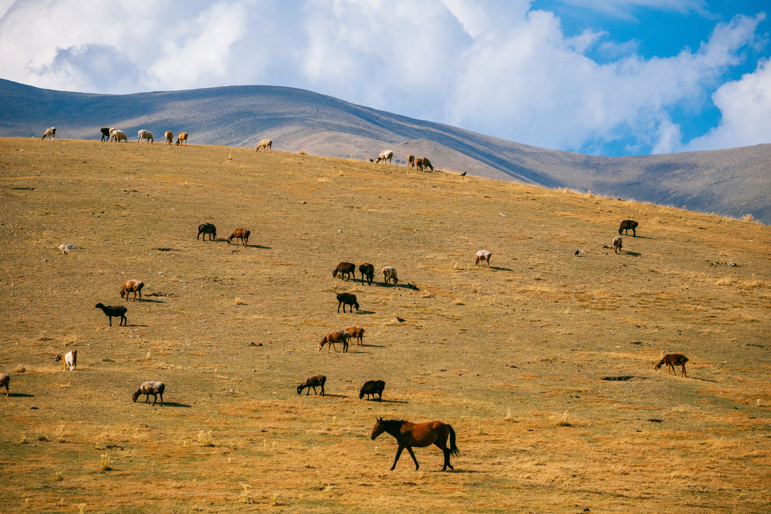 Плато Ассы, озеро Иссык и водопад: комфорт-маршрут, джипы, мини-группа. Экскурсии и туры по Алматы