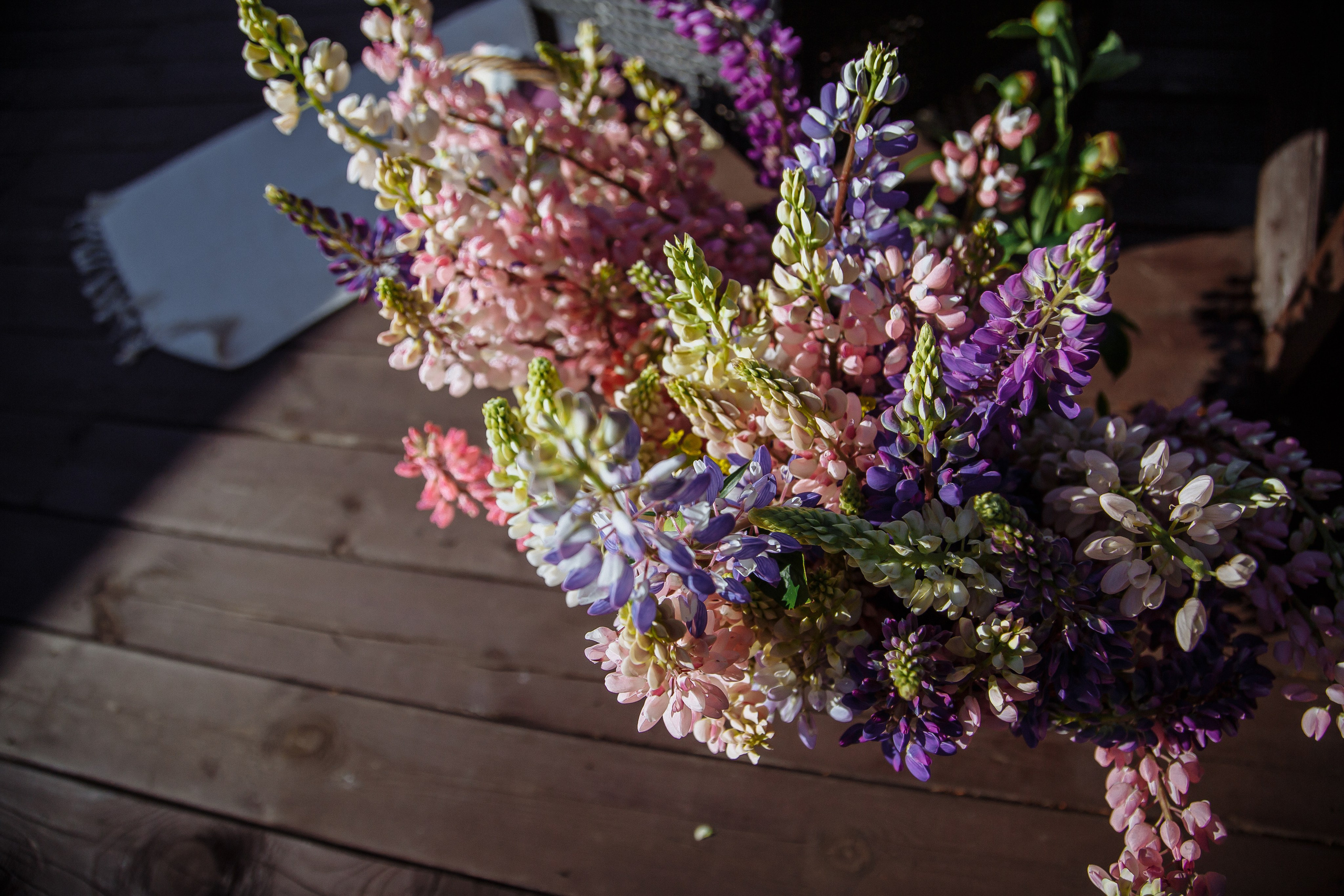 Свадебный вечер на турбазе «Чайка». VOLOCHKOVA