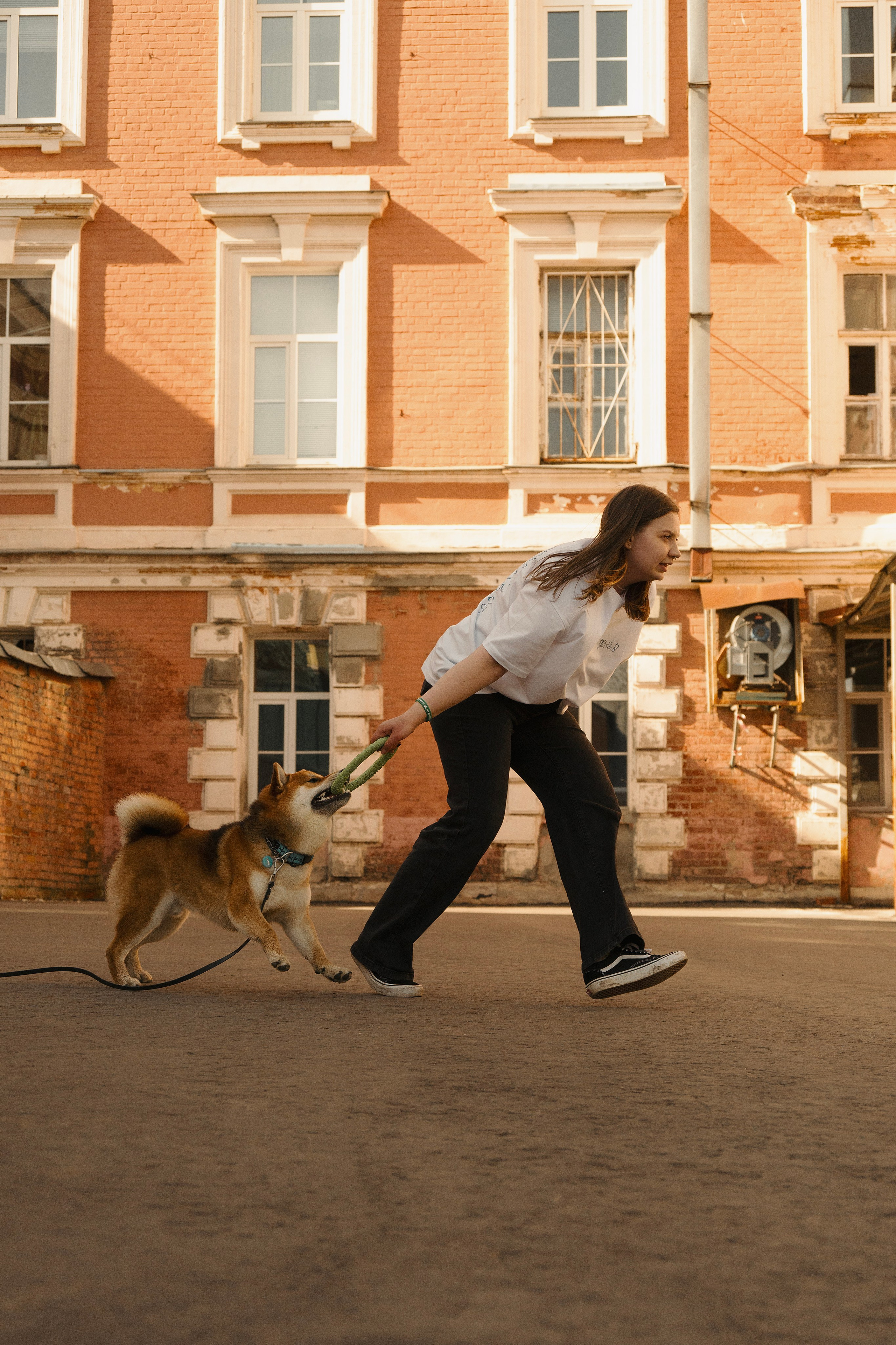Юнки. Фотограф- анималист Александра Матвеева