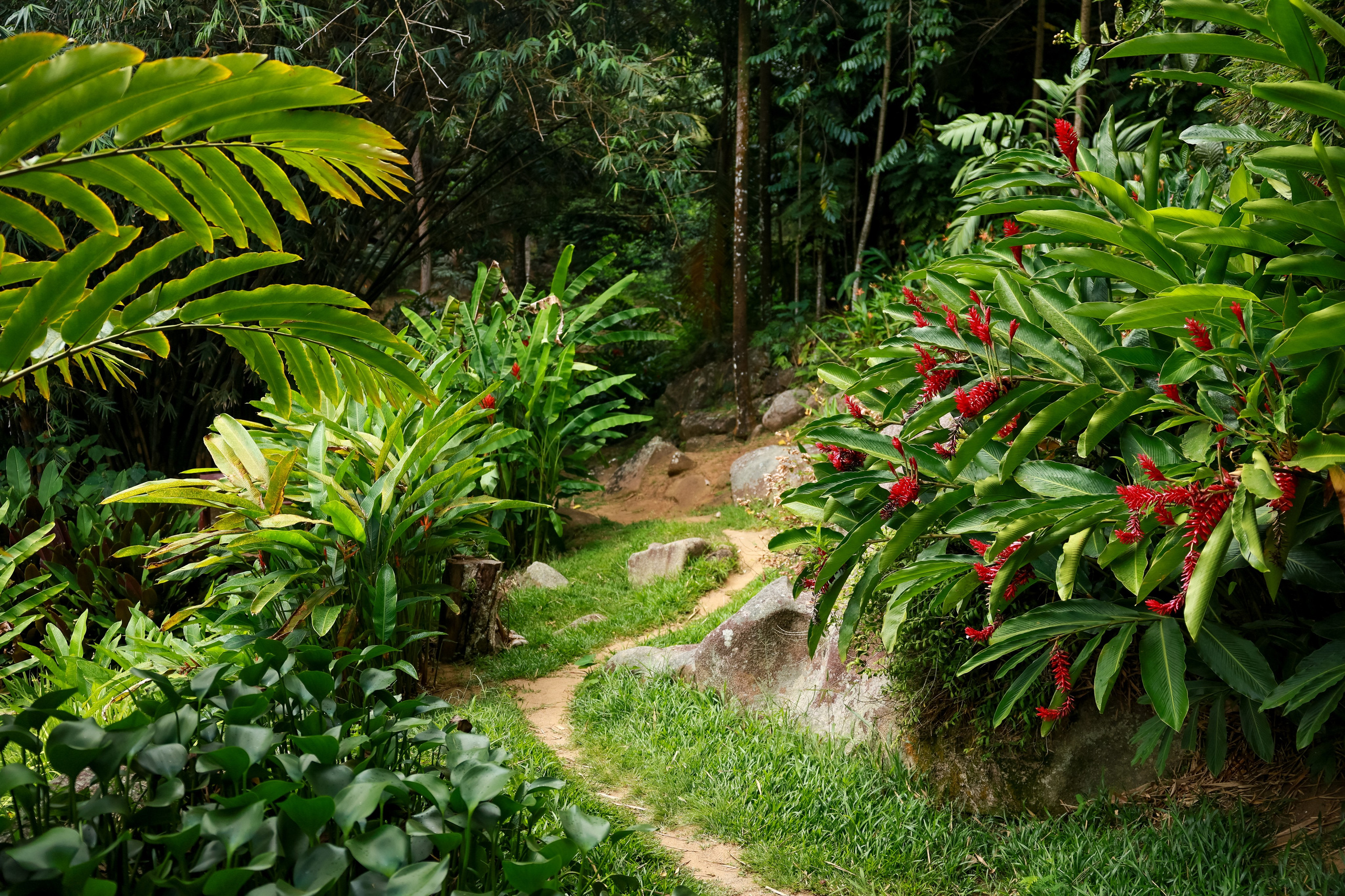 Йога-тур на Сейшелы. Дарья Бухреева — фотограф, видеограф и фототерапевт. Москва и мир