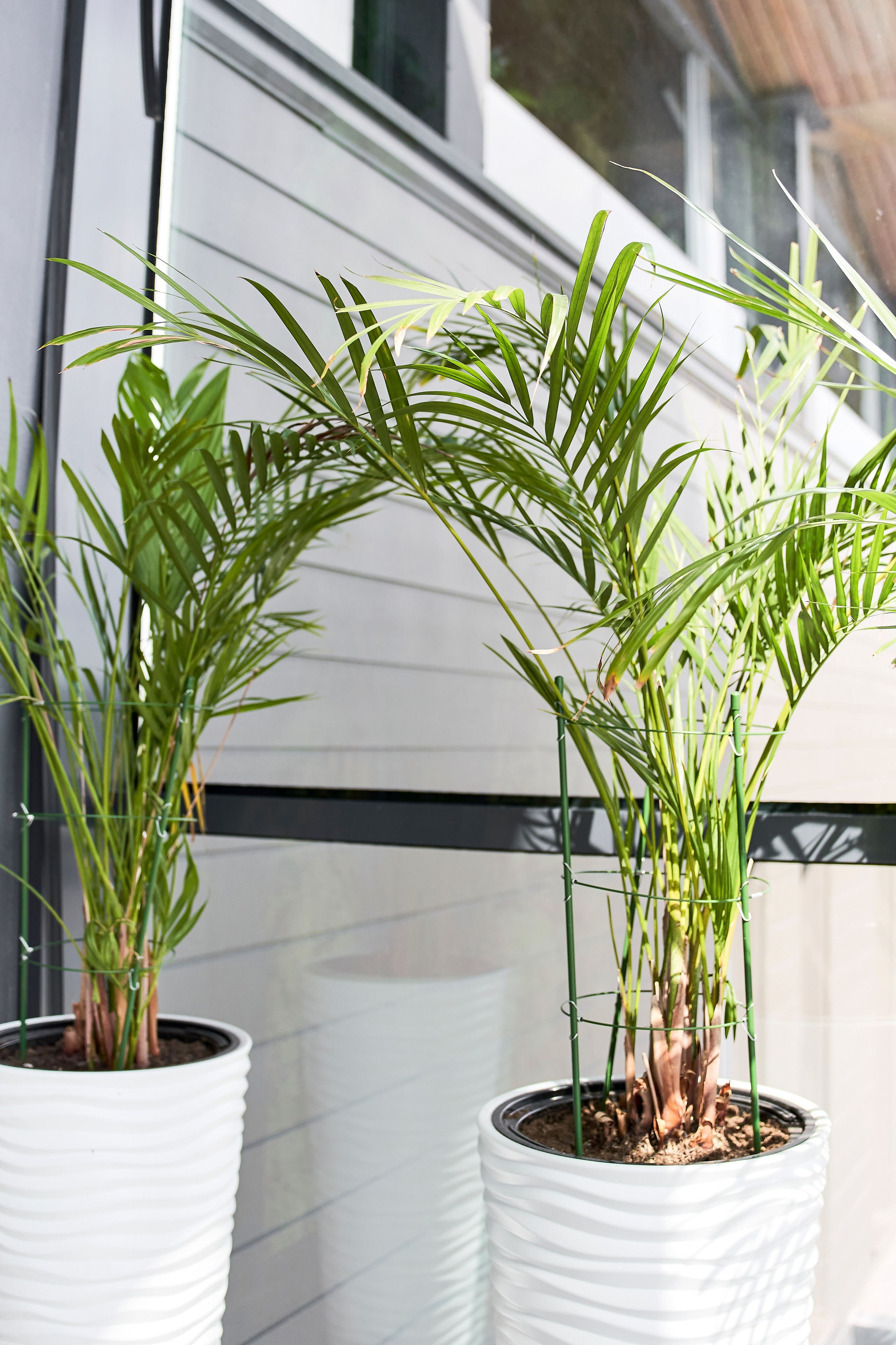 Ресторан «Murmansk». Контент фотограф в Москве Александр Хитько