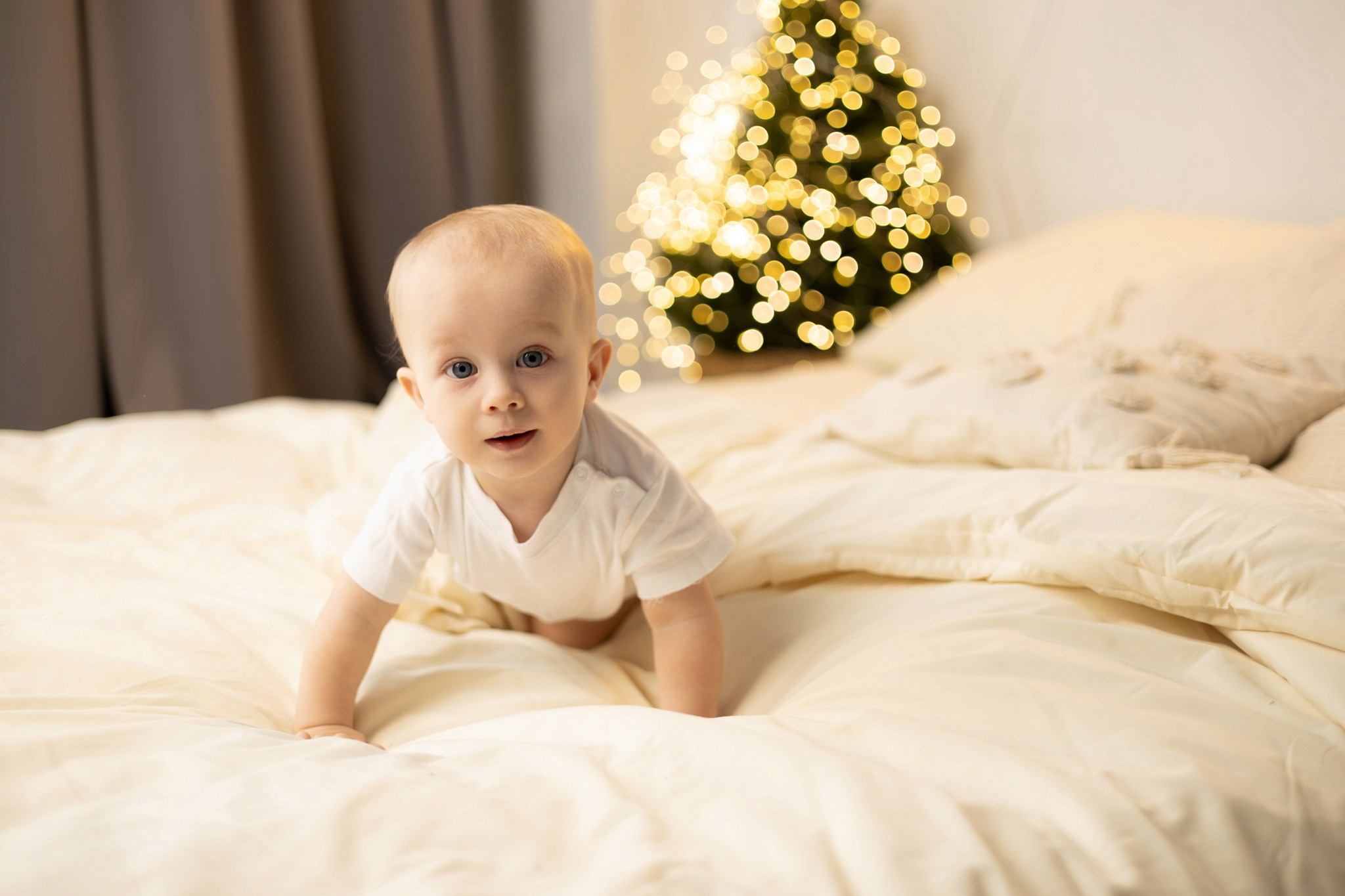 Лев. Наталия Погребняк детский и семейный фотограф в Белгород