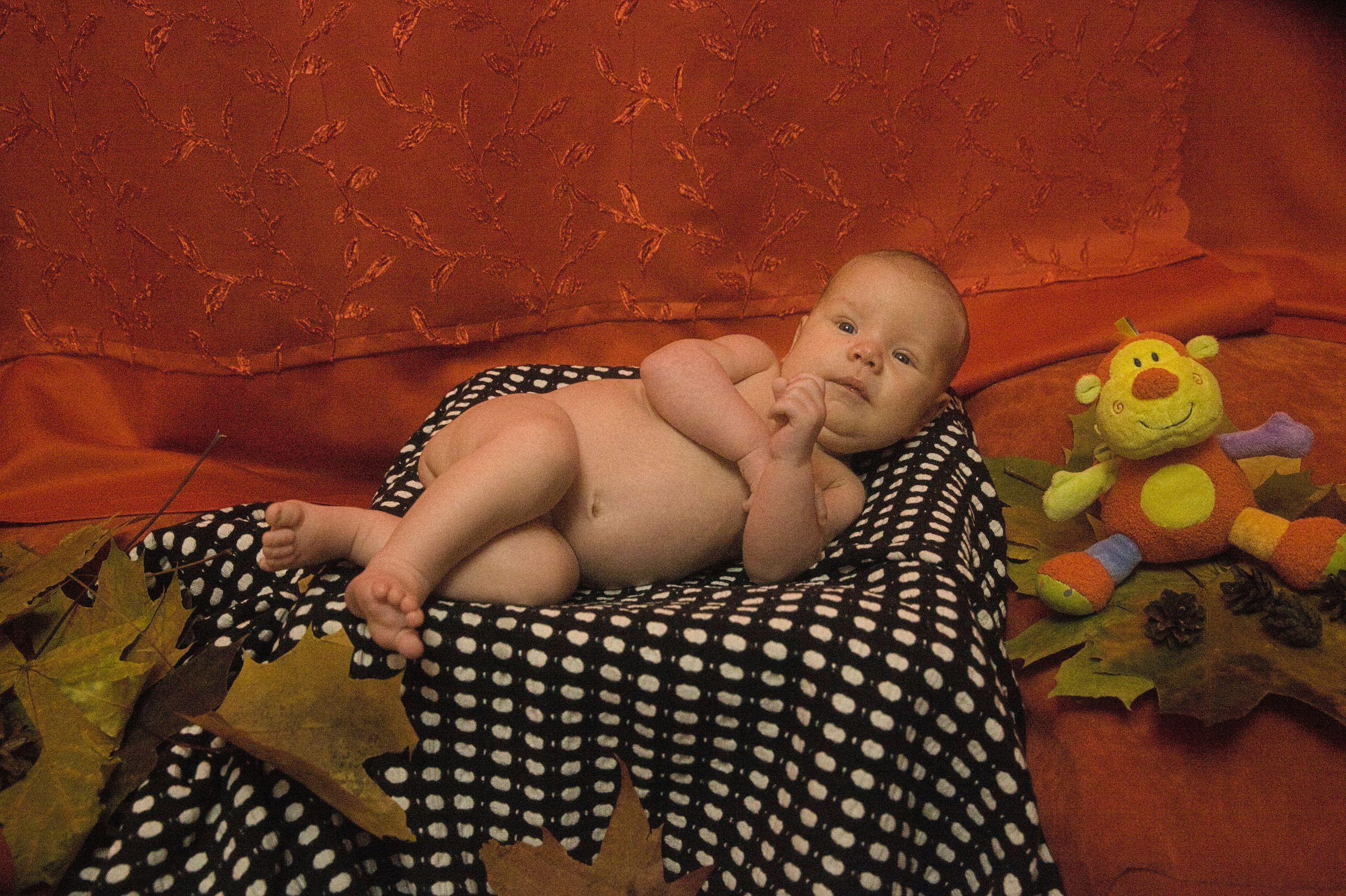 Осенний new-born. Лена Румянцева — репортажный, детский и семейный фотограф в Москве