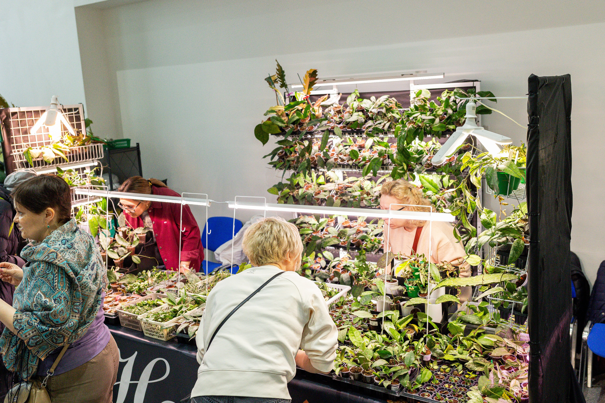 Монстериум апрель 2025. Александра Куликова фотограф, Москва