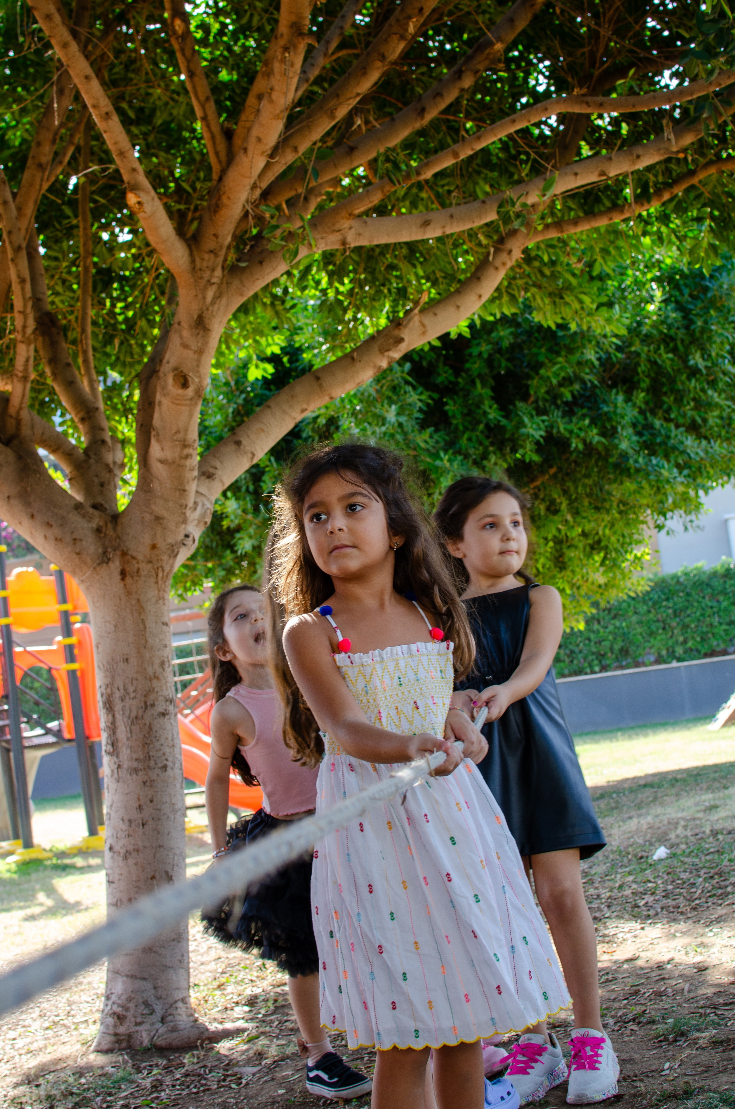Children's birthday. Event photographer Alena Iurchenko