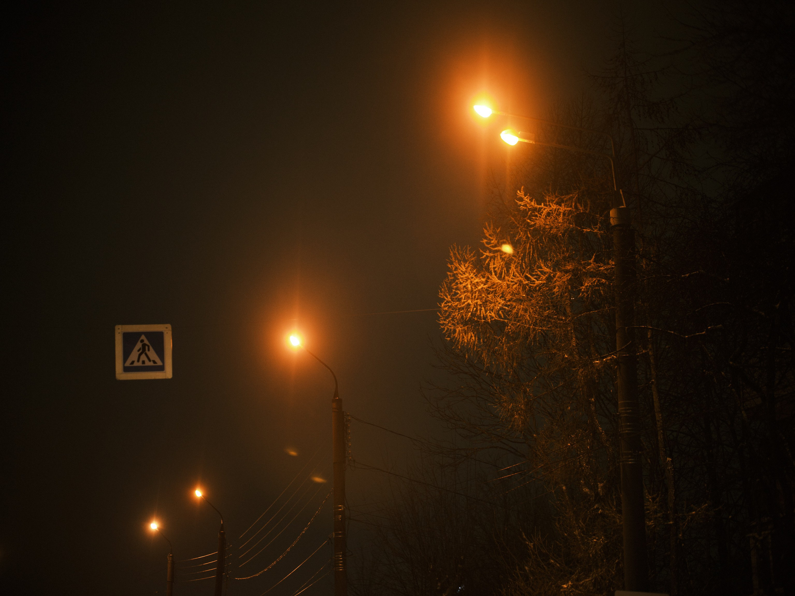 Фотограф Юлия Глазкова