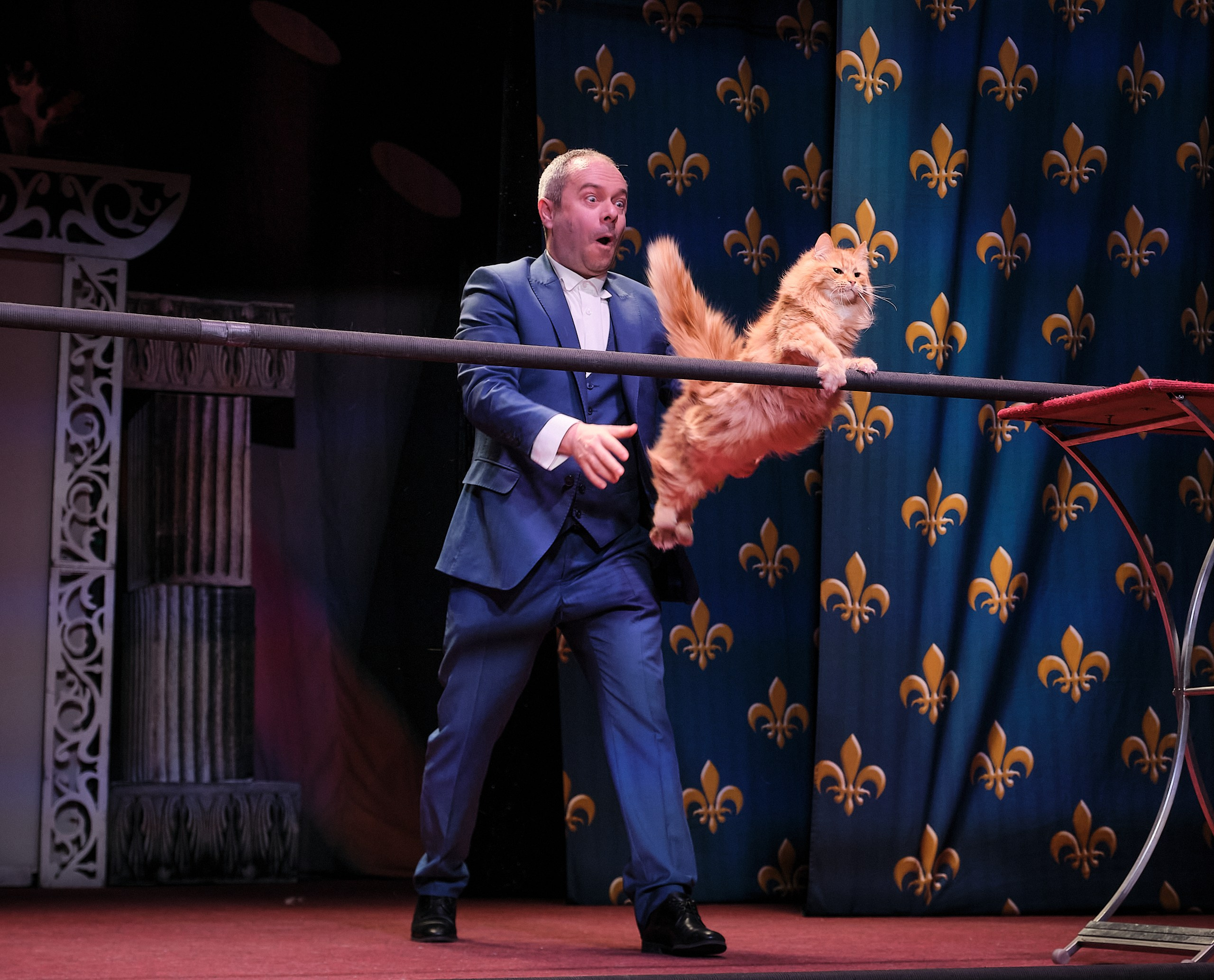 Пресс-конференция Ю.Куклачева в театре кошек