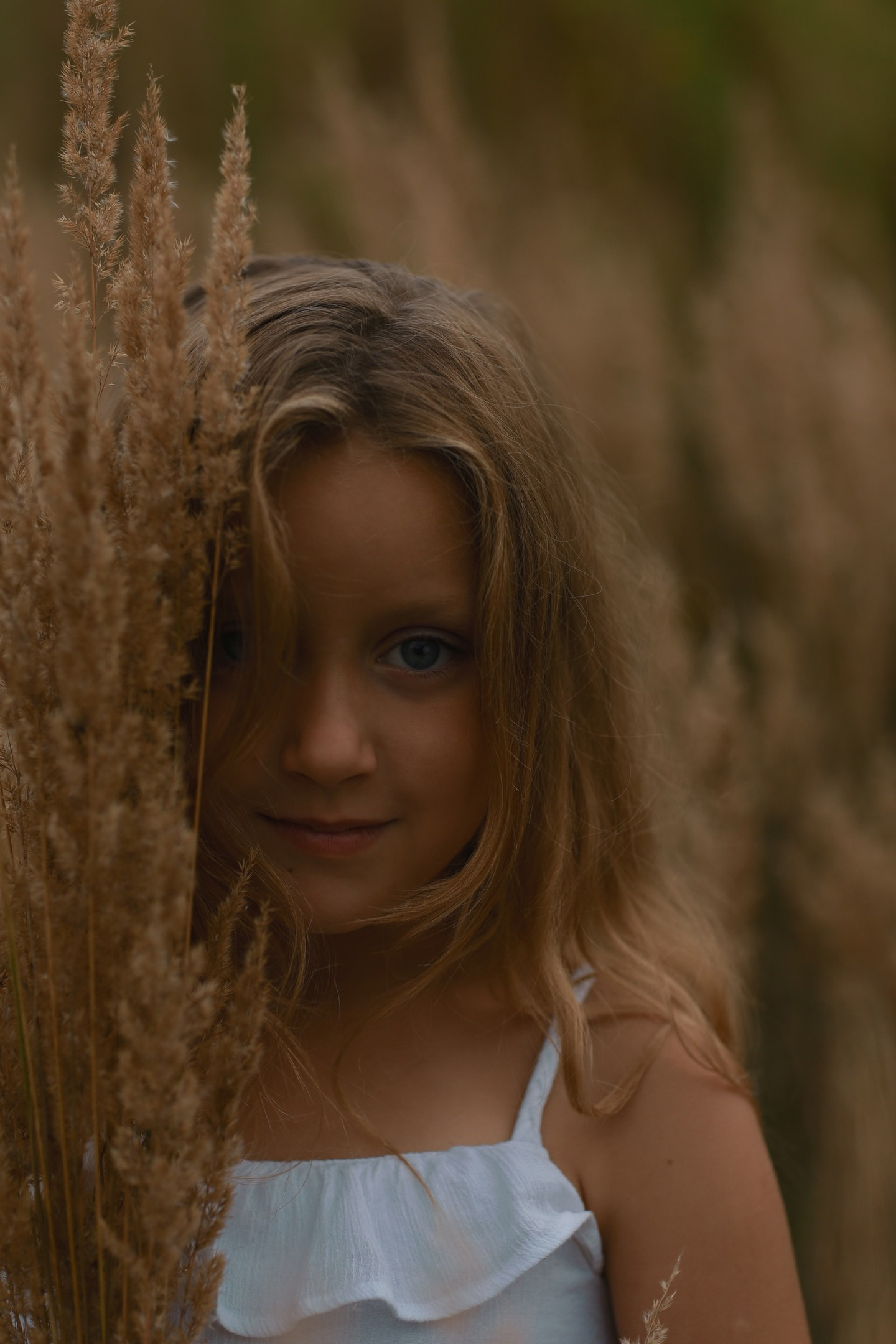 До/после ученики (вебинар). Наталья Рапопорт. Онлайн-курсы по фотографии и съемке видео