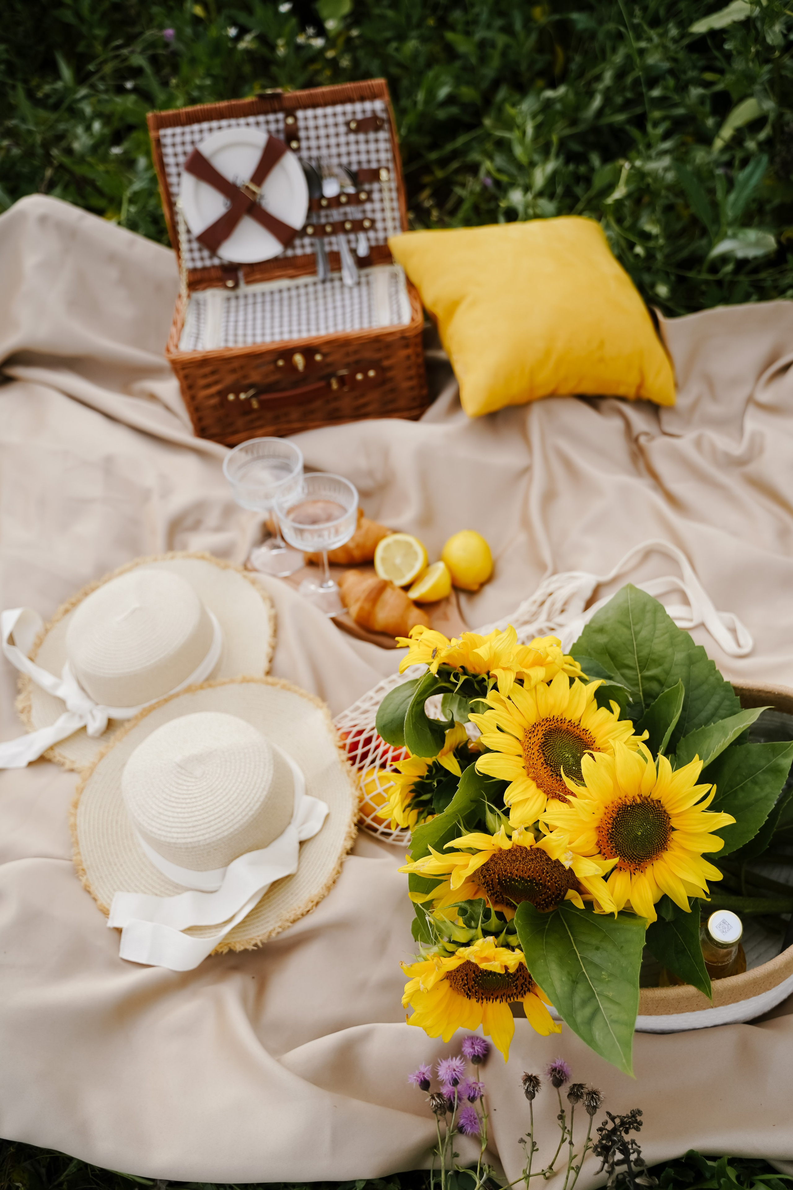 Подсолнухи. Бирск