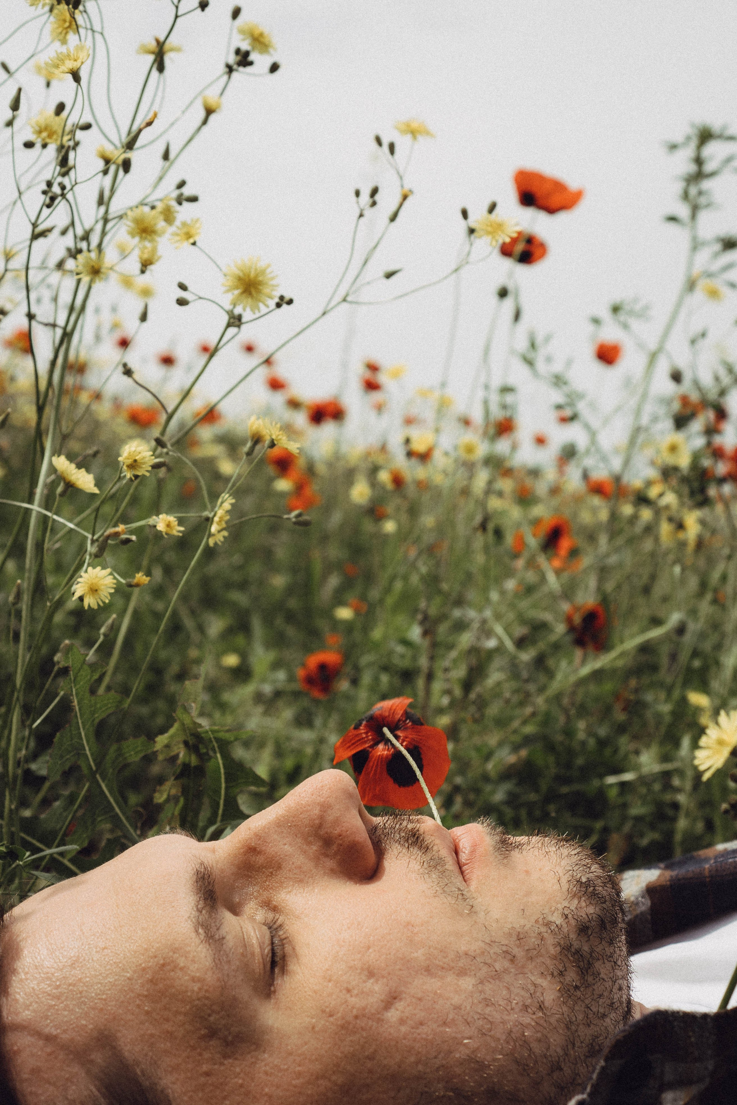 Маки. Профессиональный фотограф, Санкт-Петербург — Виктория Богомолова