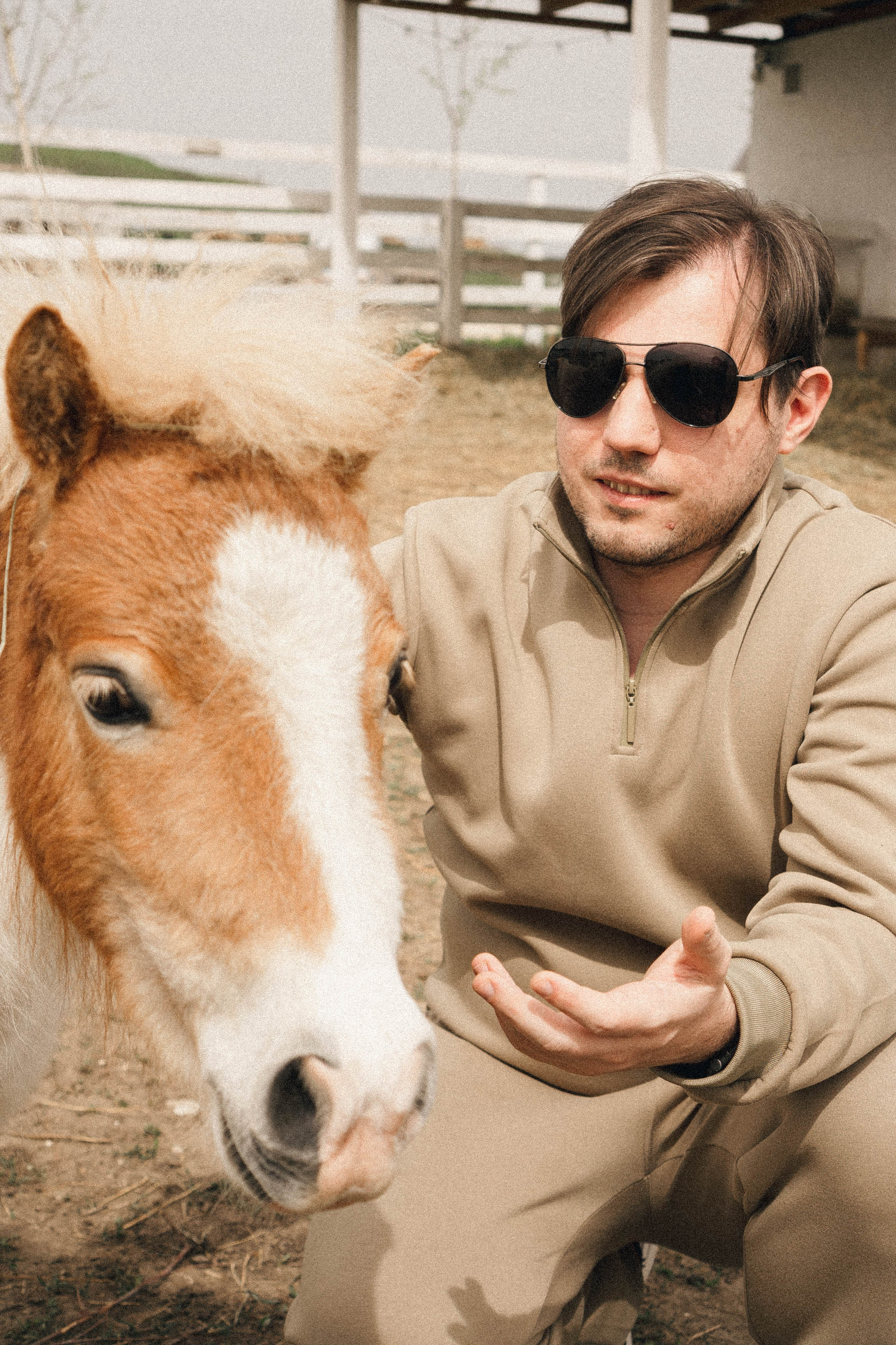 Ферма Альпак. Профессиональный фотограф, Санкт-Петербург — Виктория Богомолова