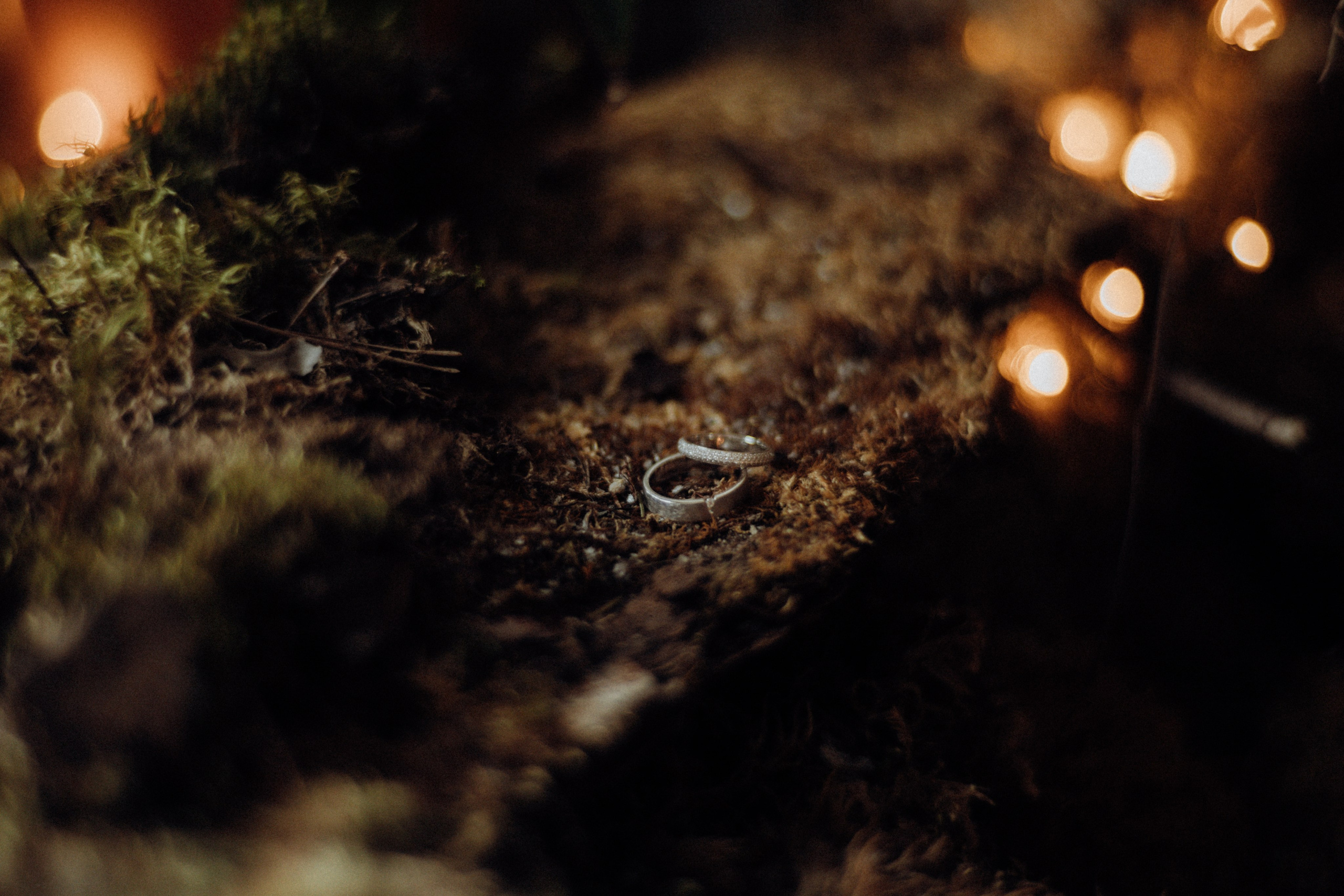 Ksenia|Mikhail. Съёмка влюблённых в Санкт-Петербурге Ксения Чердакова, парный фотограф