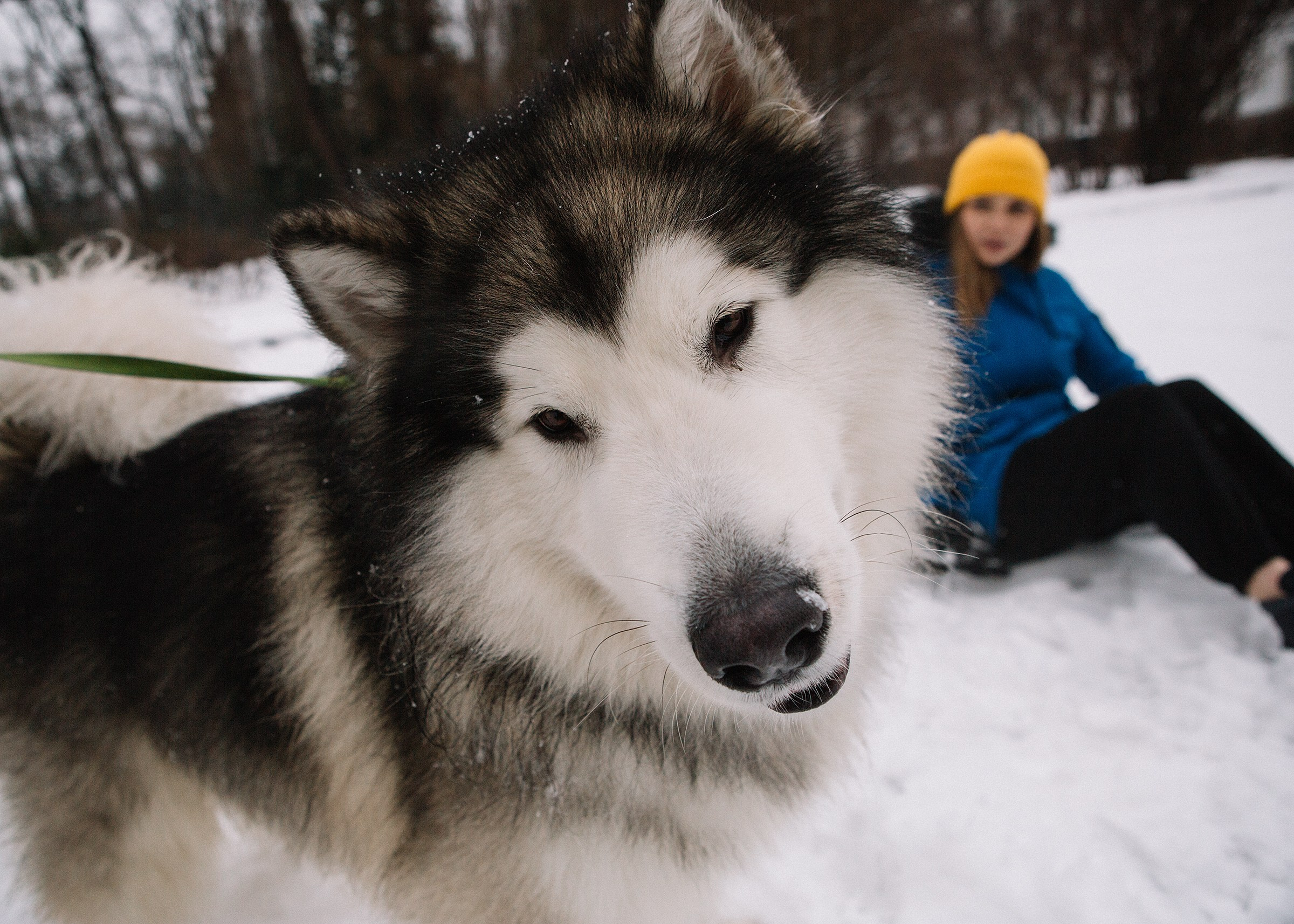 Ольга. Семейный и портретный фотограф в Санкт-Петербурге