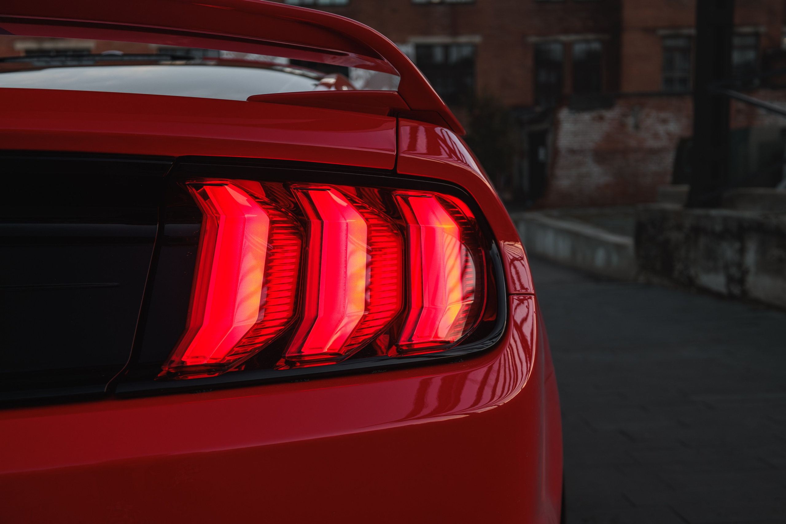 Mustang. Мелехов Дмитрий|Фотограф|Видеограф