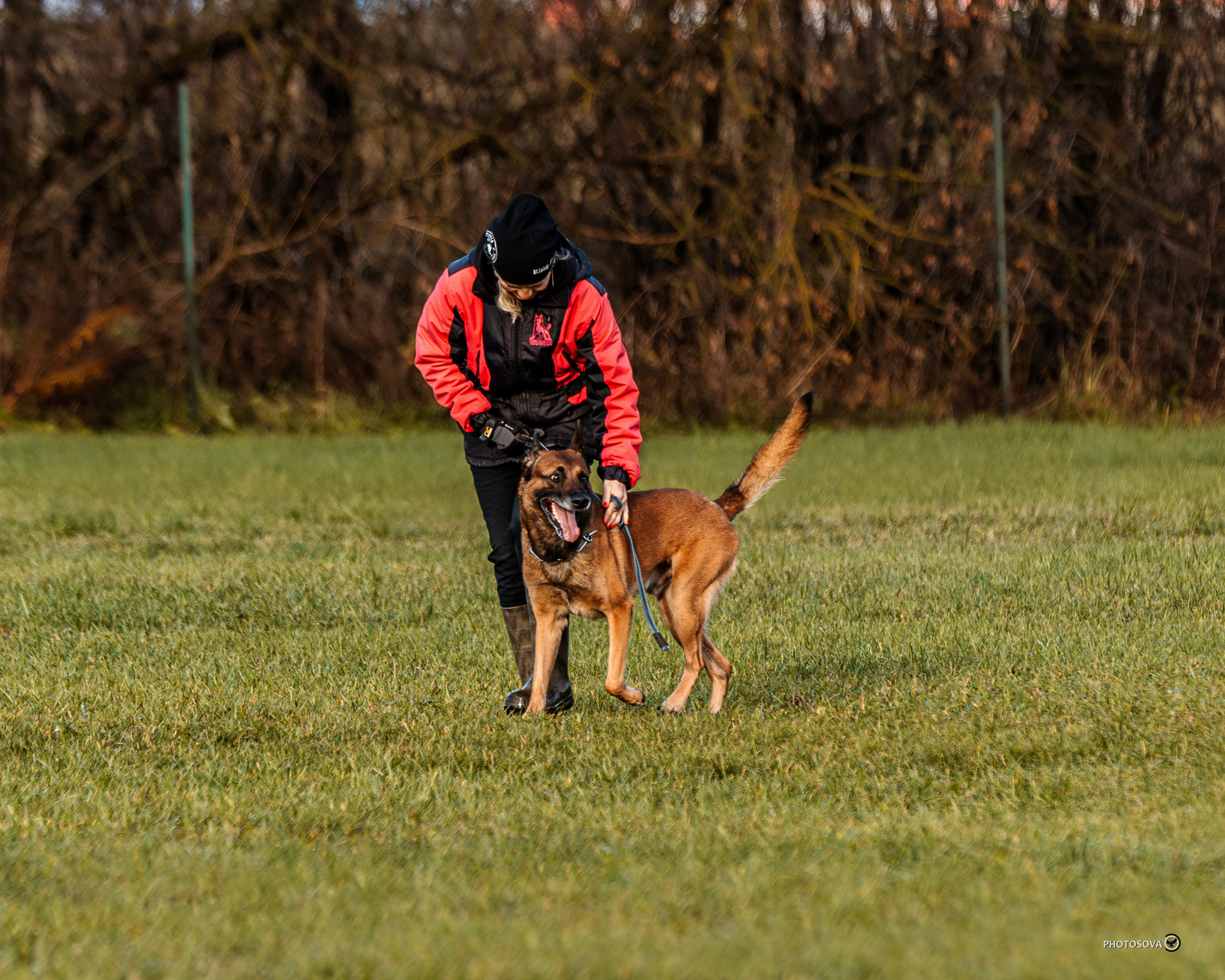 МЫ — КОМАНДА (соревнования) OKD, BH, IBGH, IGP. Фотограф-анималист, семейный фотограф в Москве и Подмосковье. Фотосъёмка кинологических дисциплин