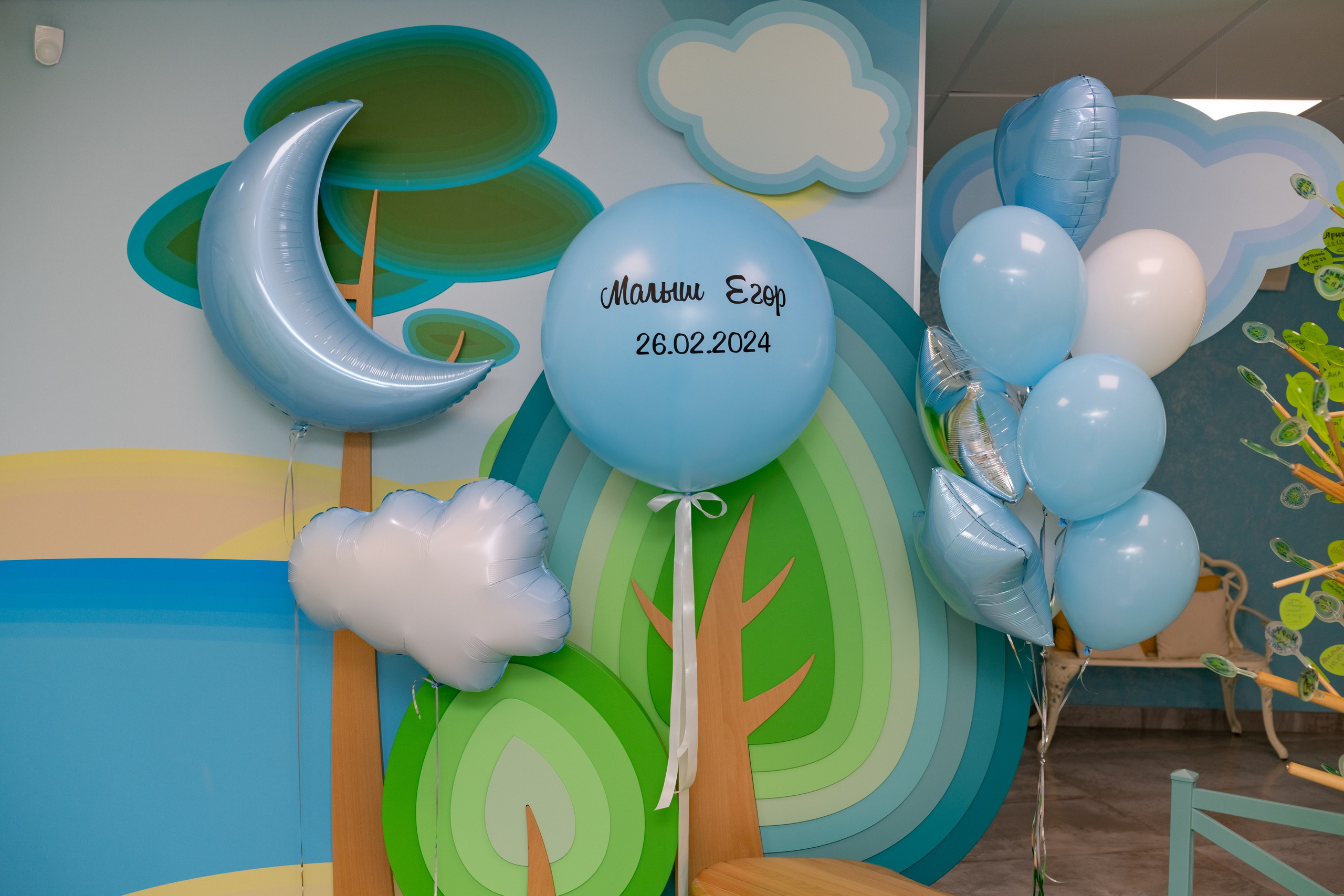 Фотограф в роддоме Сестрорецком г. Санкт-Петербург Банасиковская Ксения