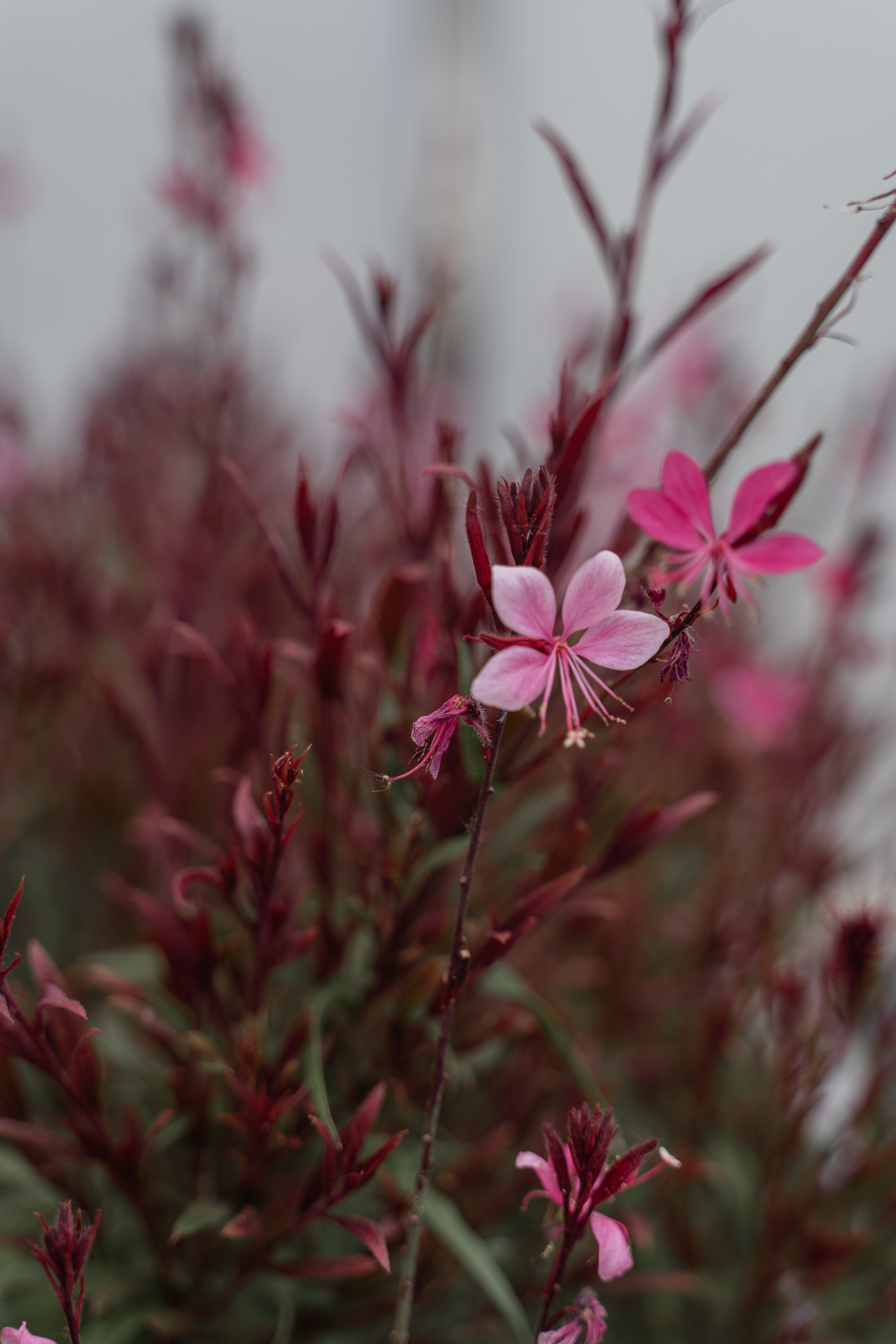 Моменты. Главная