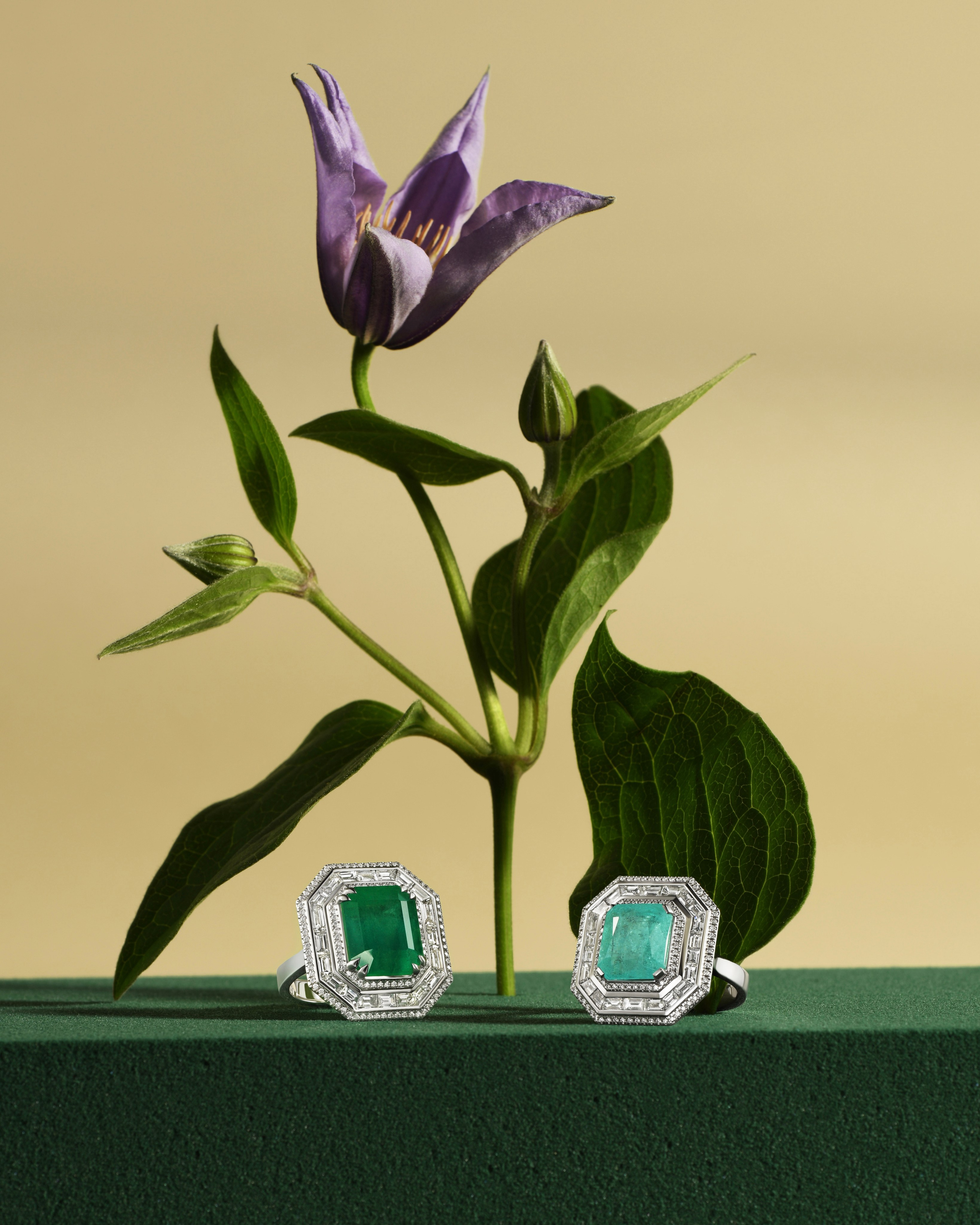 предметная съемка ювелирных изделий